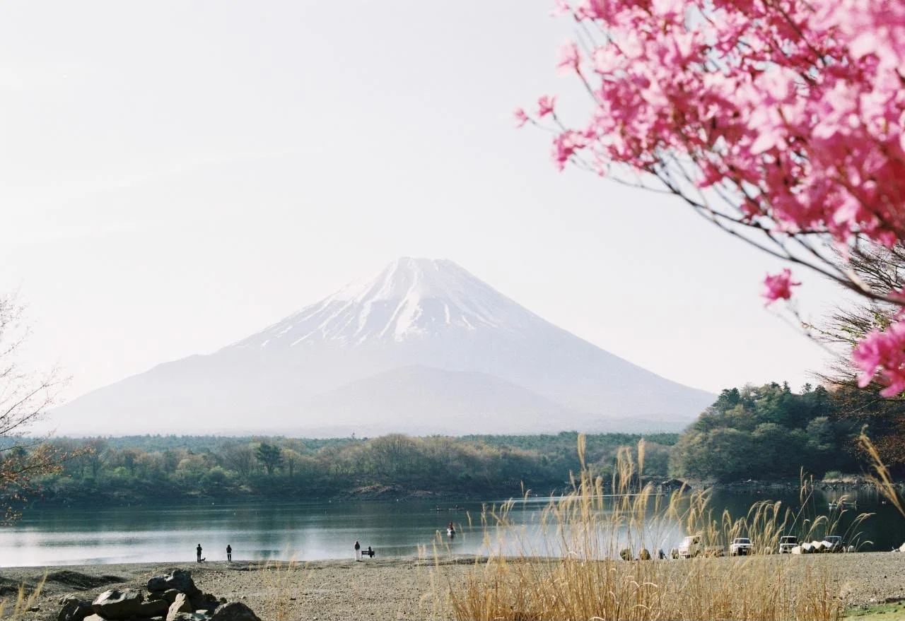 b8299ff9-c77a-43cf-92c7-57ff5f04b3e8.jpeg