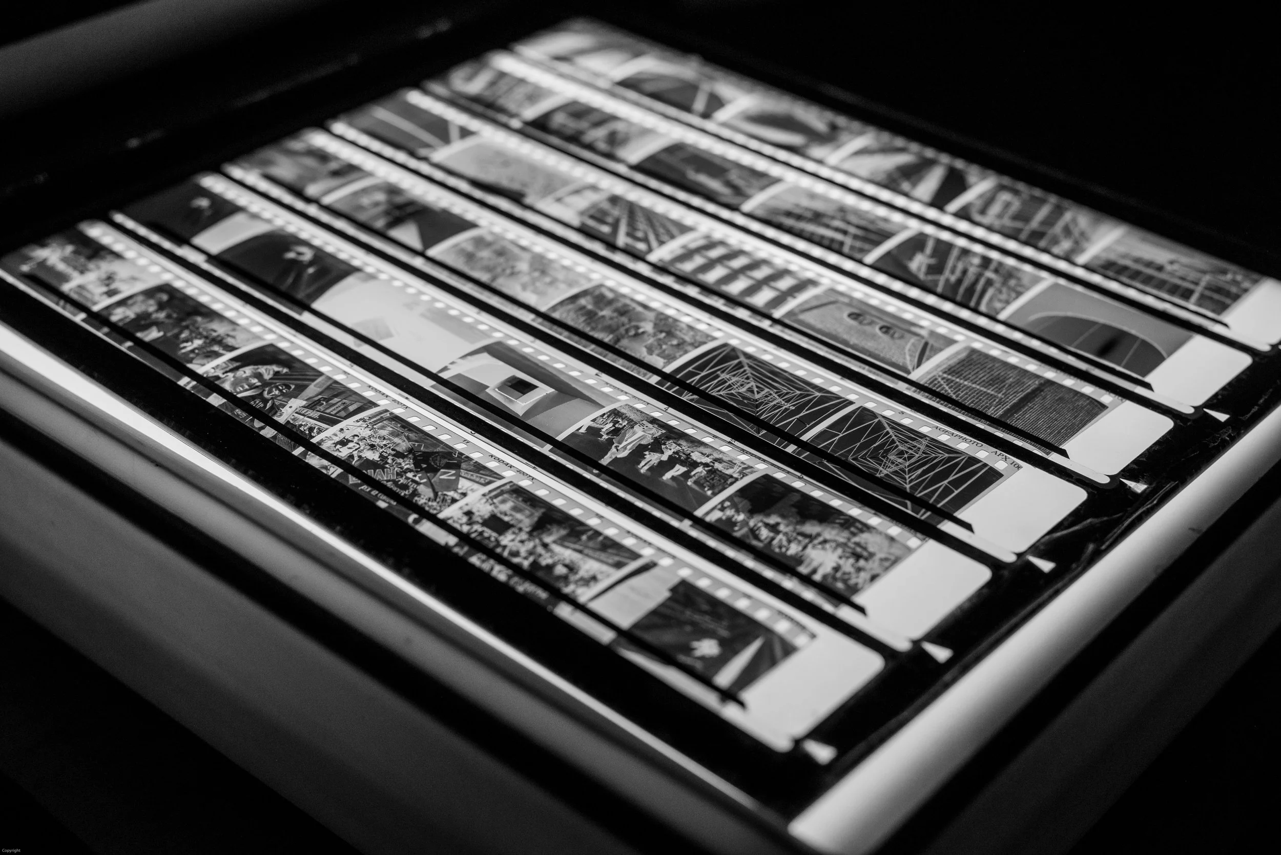 Archival black-and-white photographic negative strips arranged on a light table for museum collection digitisation, cataloguing and preservation.