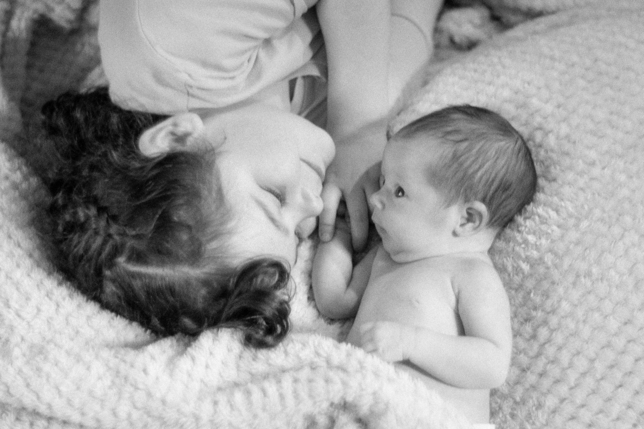 Parent lying beside a baby during a black and white parent-and-baby portrait session photographed by Liquid Light Whisperer.