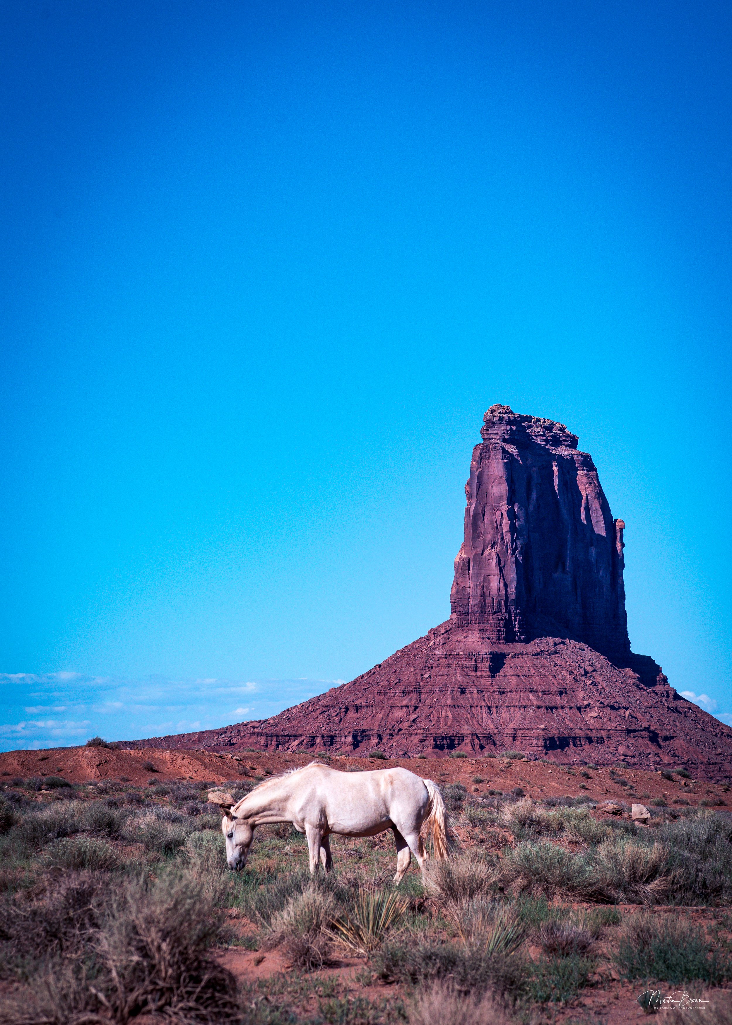 White horse grazing in Monument Valley beneath red sandstone butte under clear blue sky.