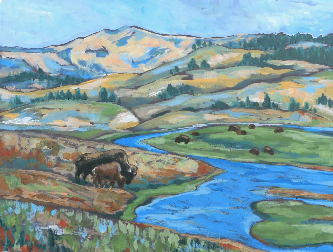 Hayden Valley, Yellowstone National Park