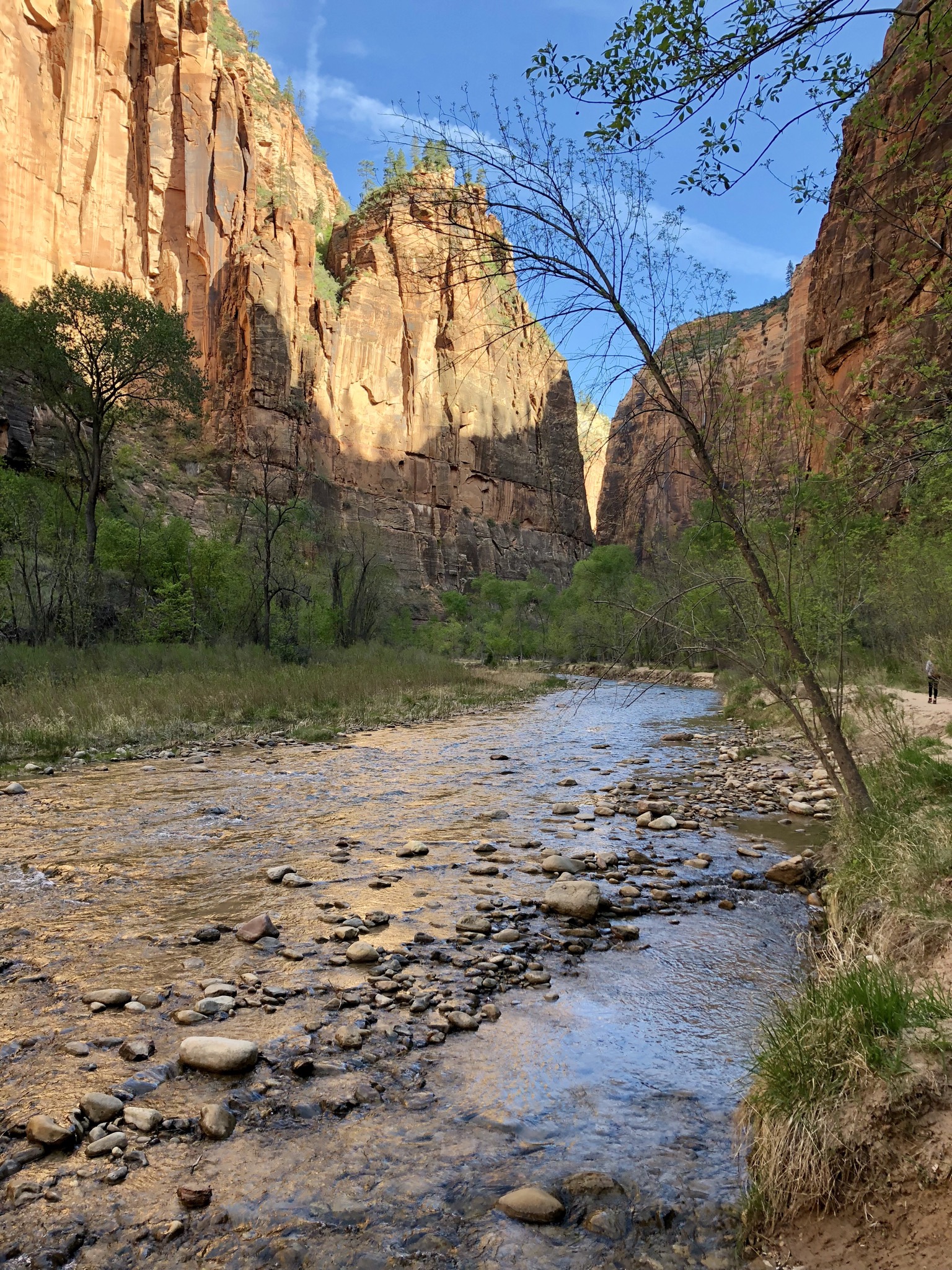 The Virgin River - Zion National Park