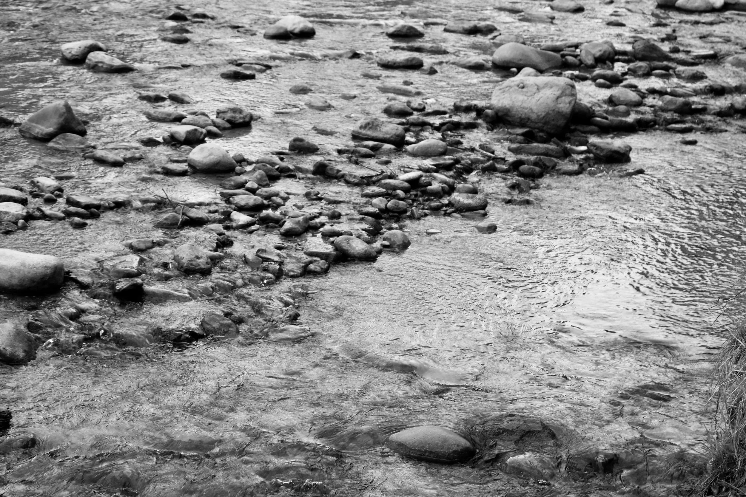 Circles in the Water - Zion