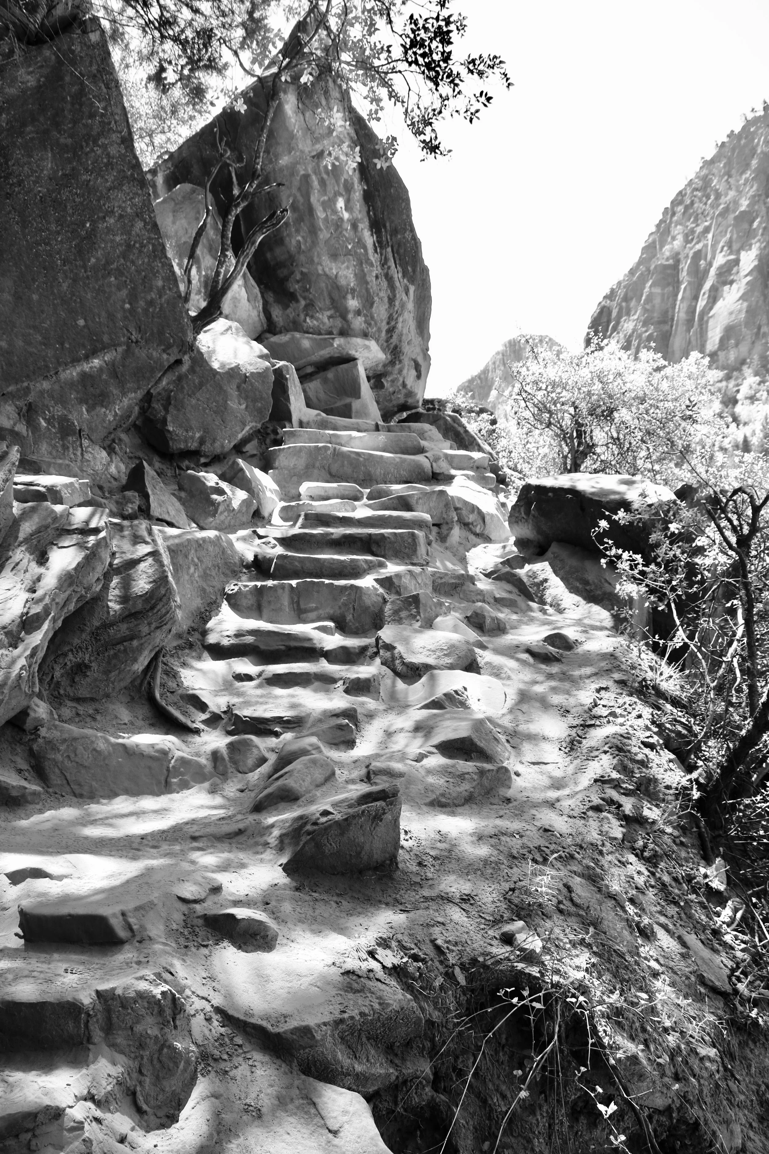Stepping Stones to Emerald Pools - Zion
