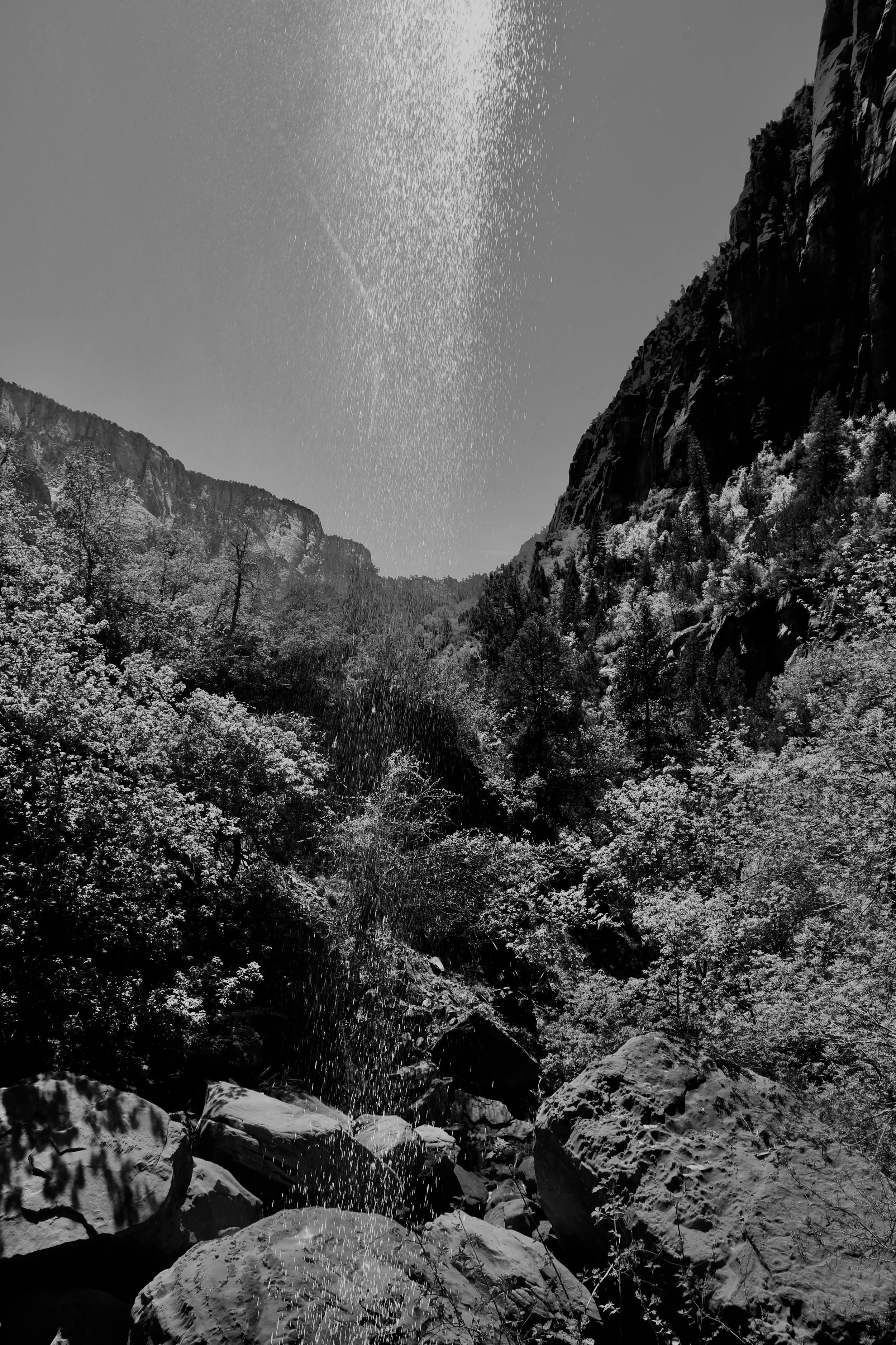 Evaporating in the Heat - Zion