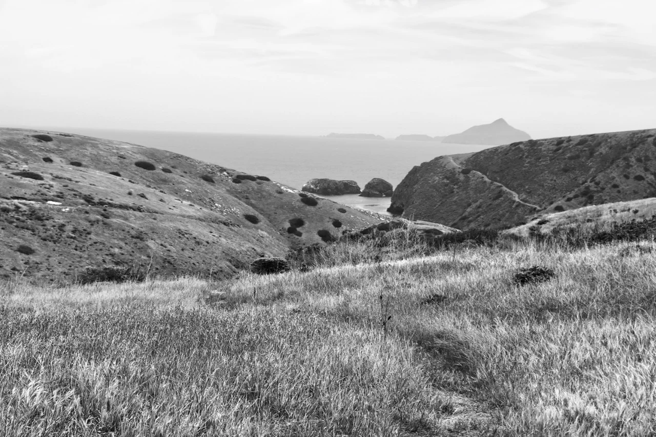 Rolling Hills to the Sea - Santa Cruz Island, Channel Islands National Park