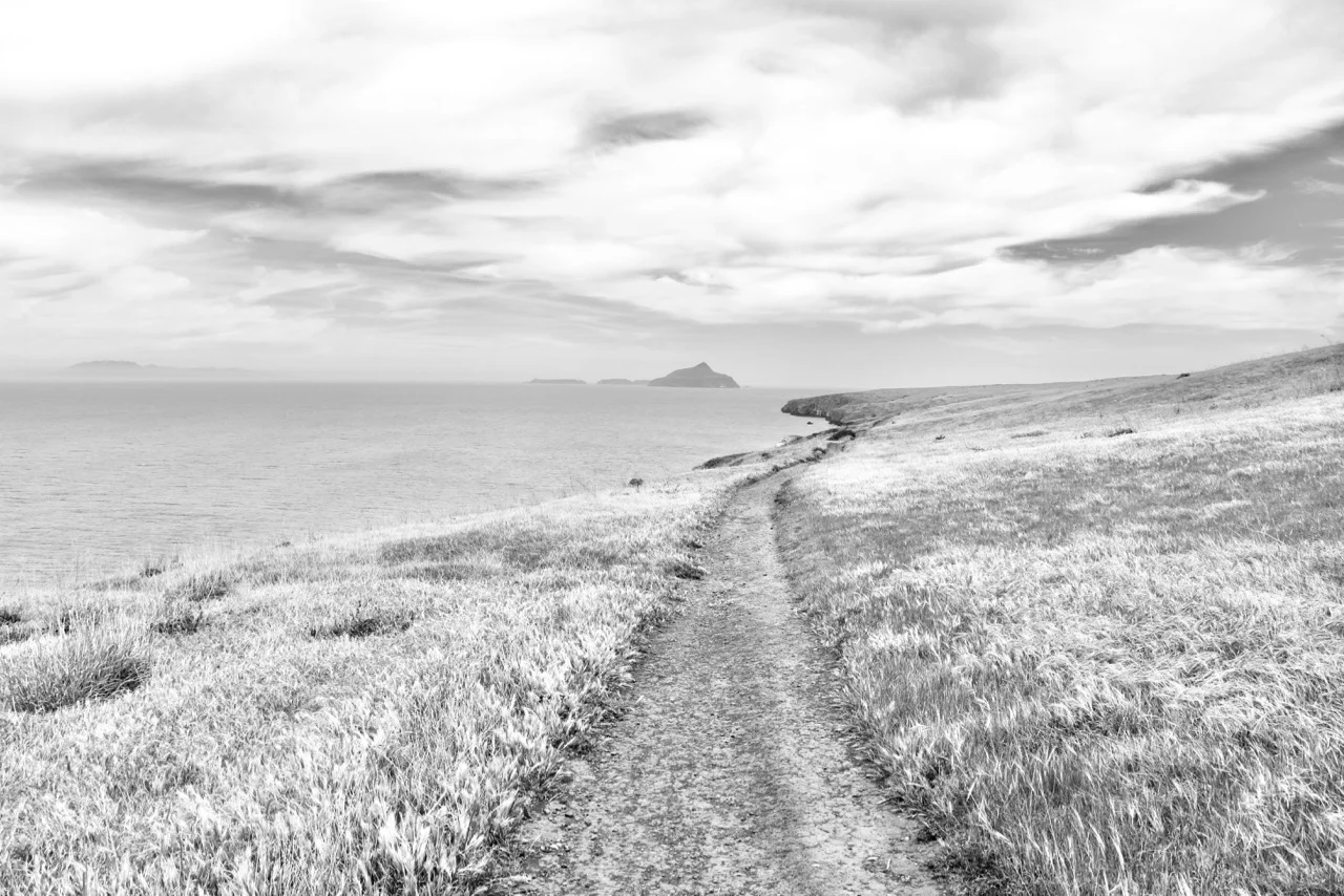 Follow Your Path - Santa Cruz Island, Channel Islands National Park