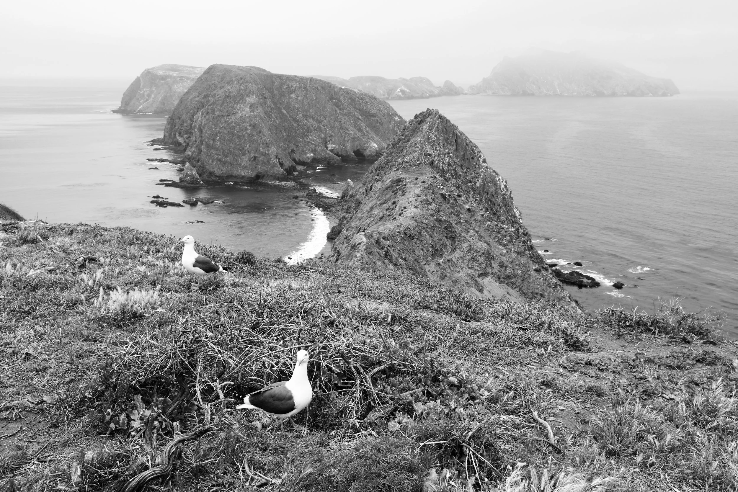 View from Inspiration Point - Anacapa Island, Channel Islands
