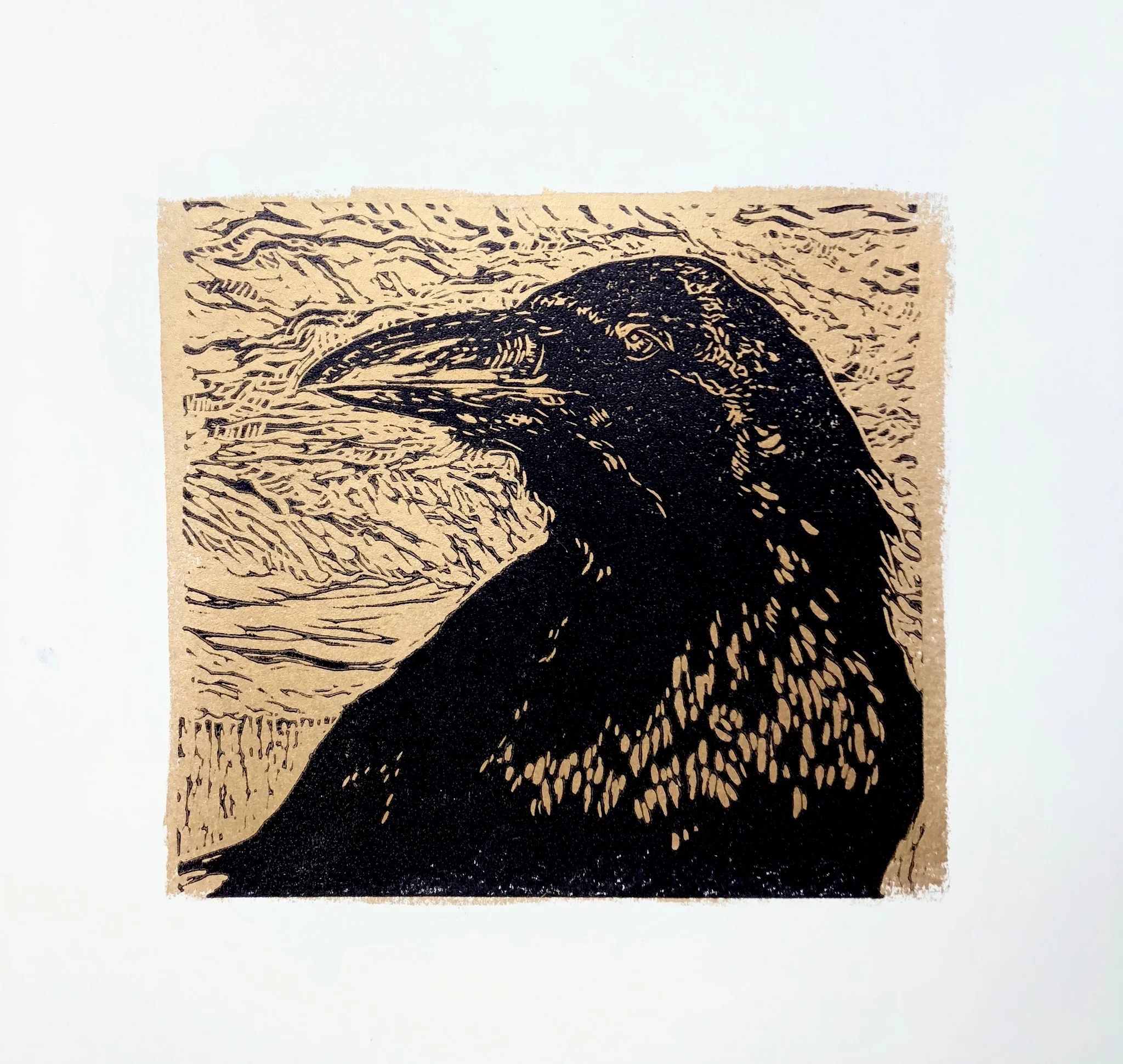 Portrait of Raven in Gold - Zion National Park - woodcut print