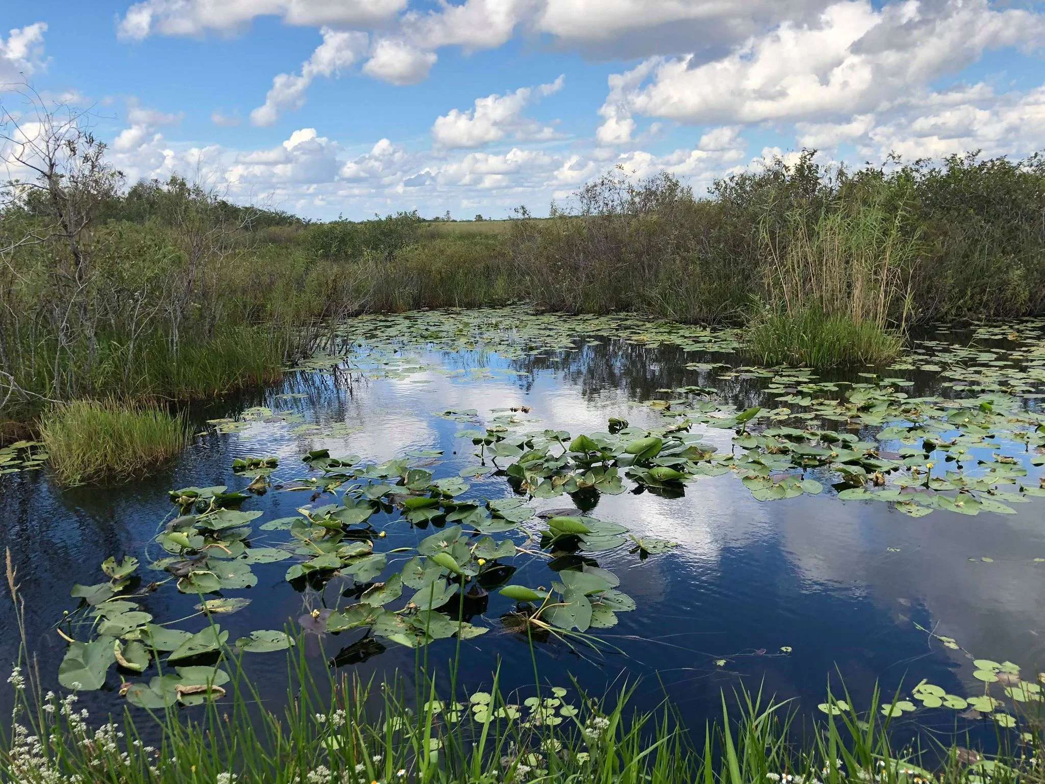 Everglades National Park, Florida