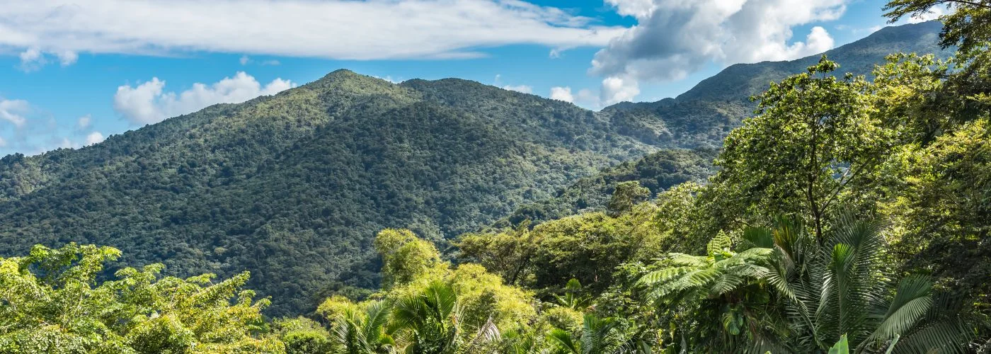 El Yunque National Forest, Puerto Rico - The only tropical rain forest in the National Forest system…I will have a chance to add El Yunque to my list next week while visiting Puerto Rico!