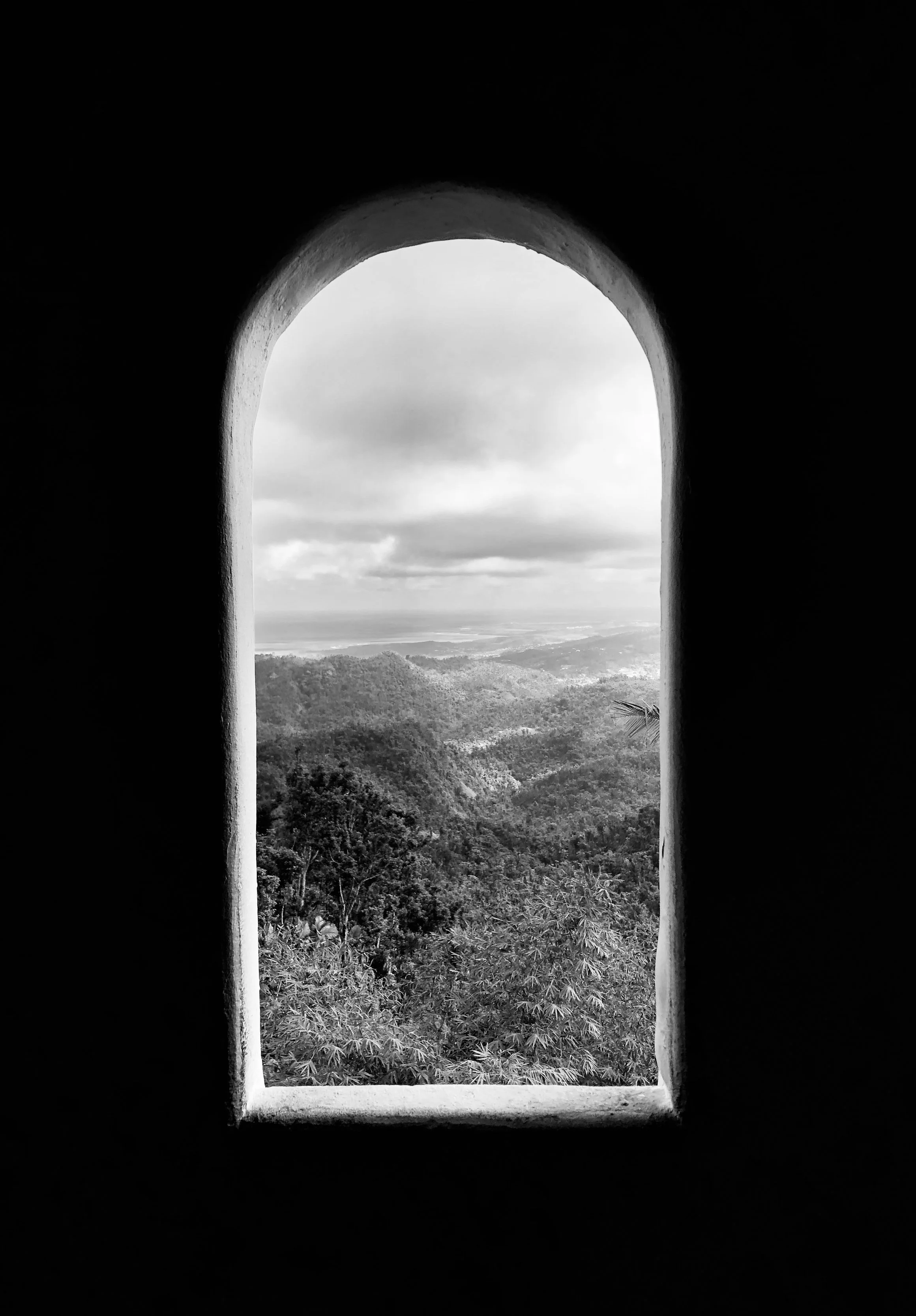 Perfectly Framed, EL Yunque - Puerto Rico