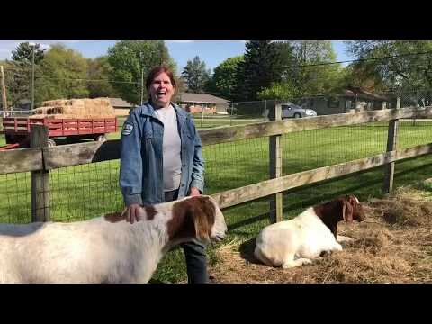 Animal Tales Videos — Rockford Park District Animal Tales Videos — Rockford Park District