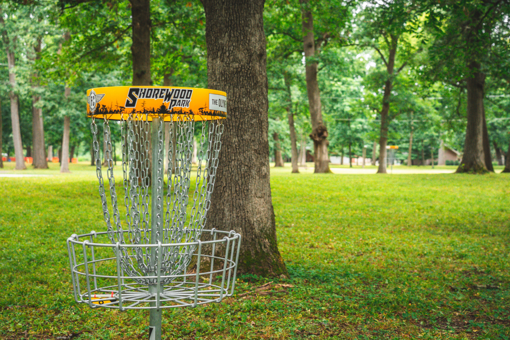 Disc_Golf_Shorewood1.jpg