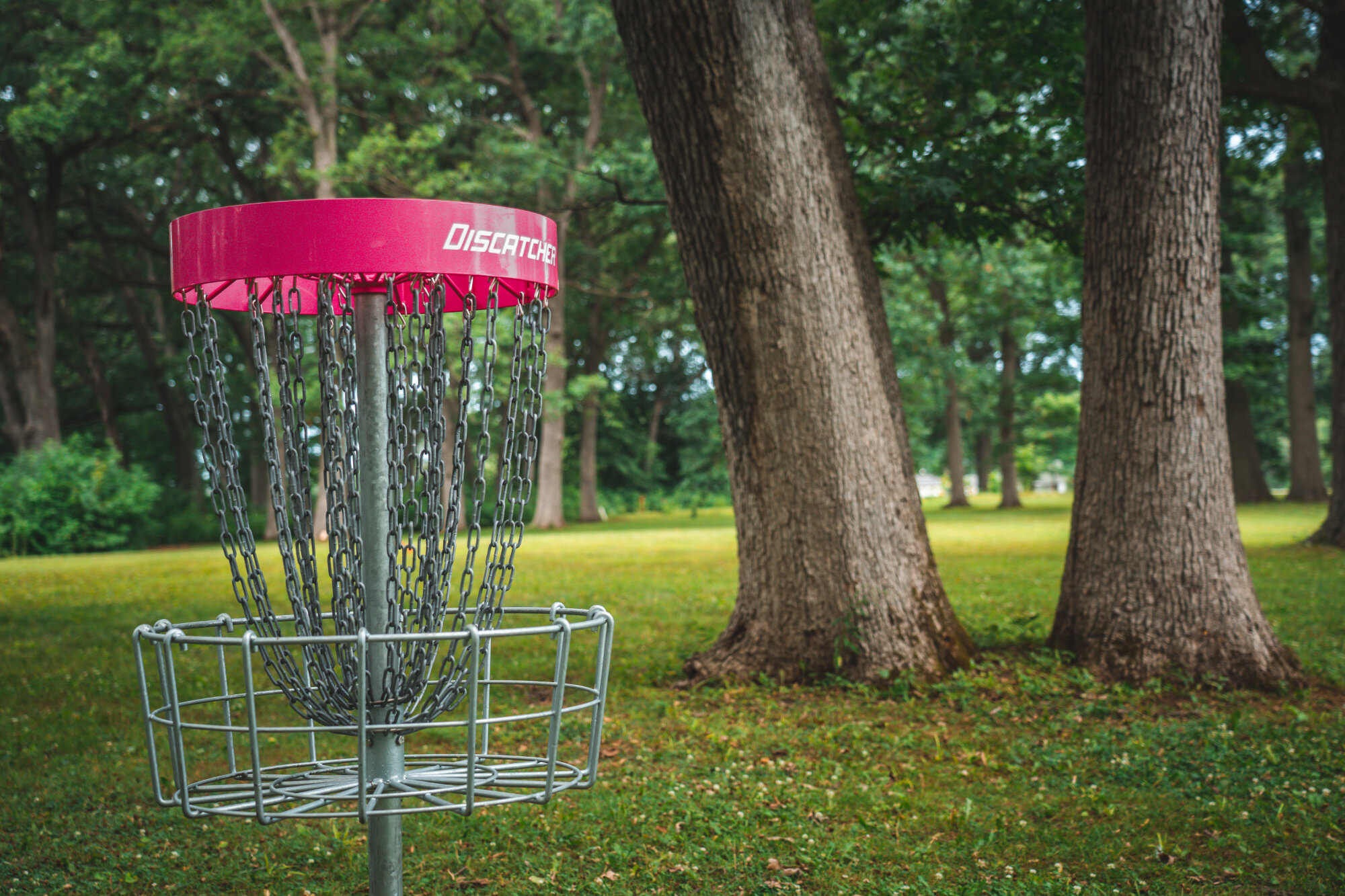 Disc_Golf_Ingersoll_Park_1.jpg