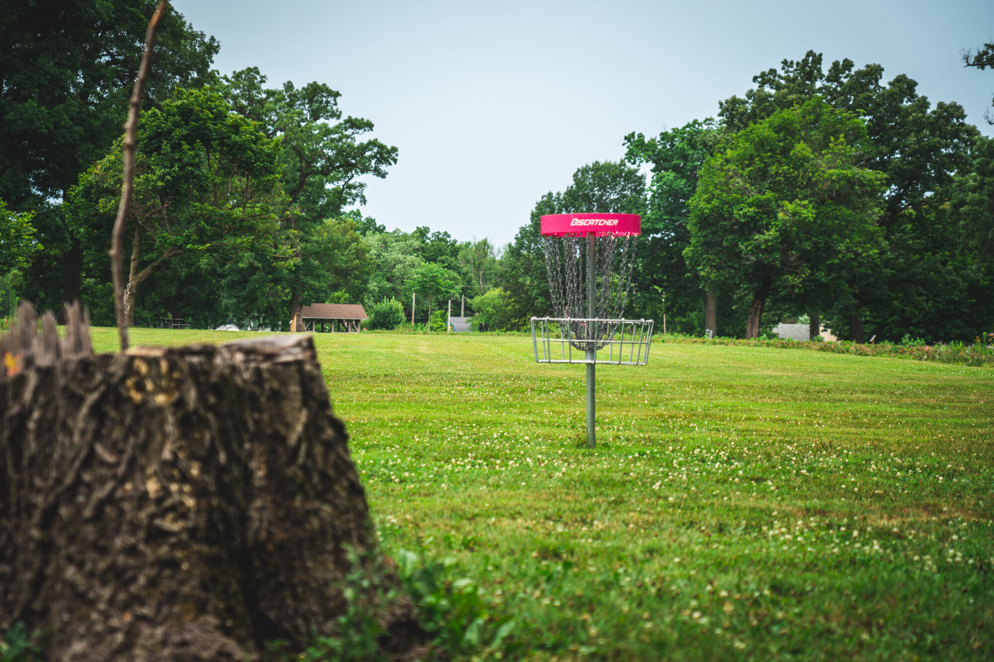 Disc_Golf_Ingersoll_Park_2.jpg