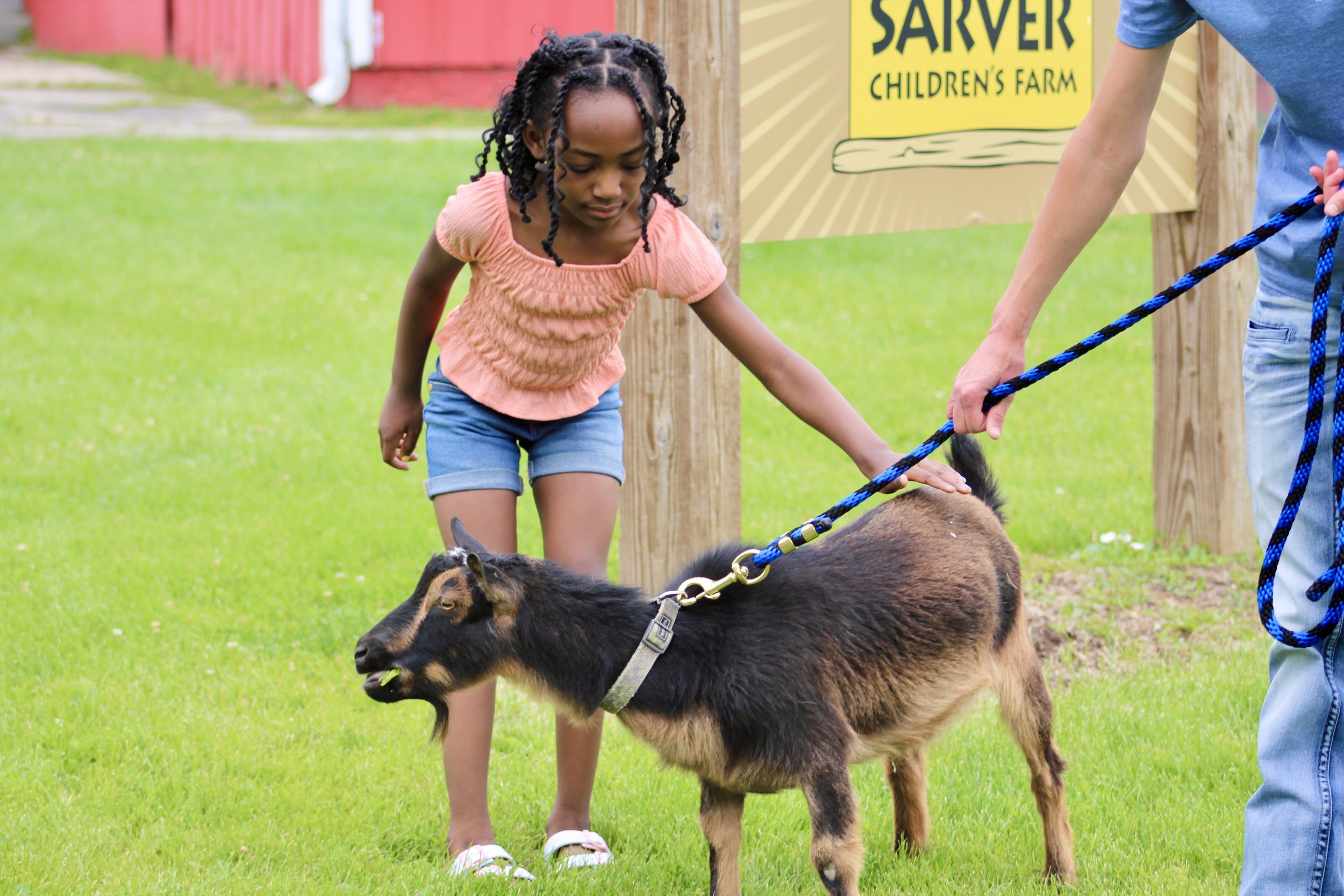 Saturdays on the Farm