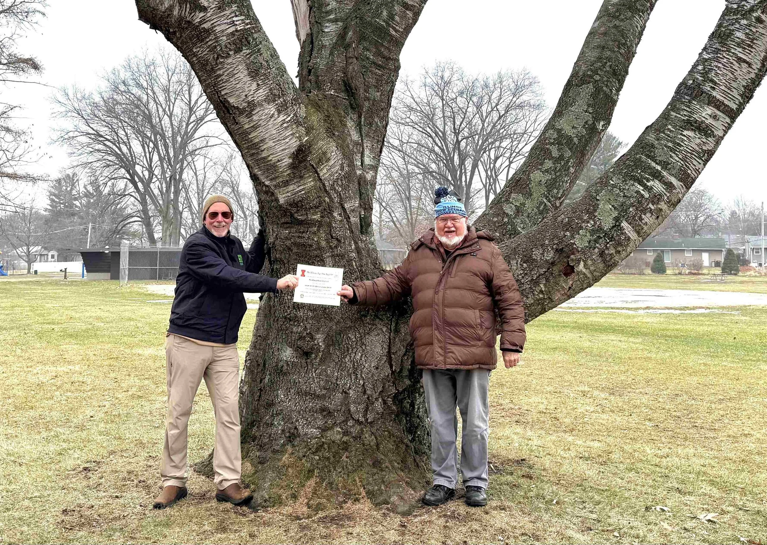 Two Illinois State Champion Trees Recognized at Dahlquist Park