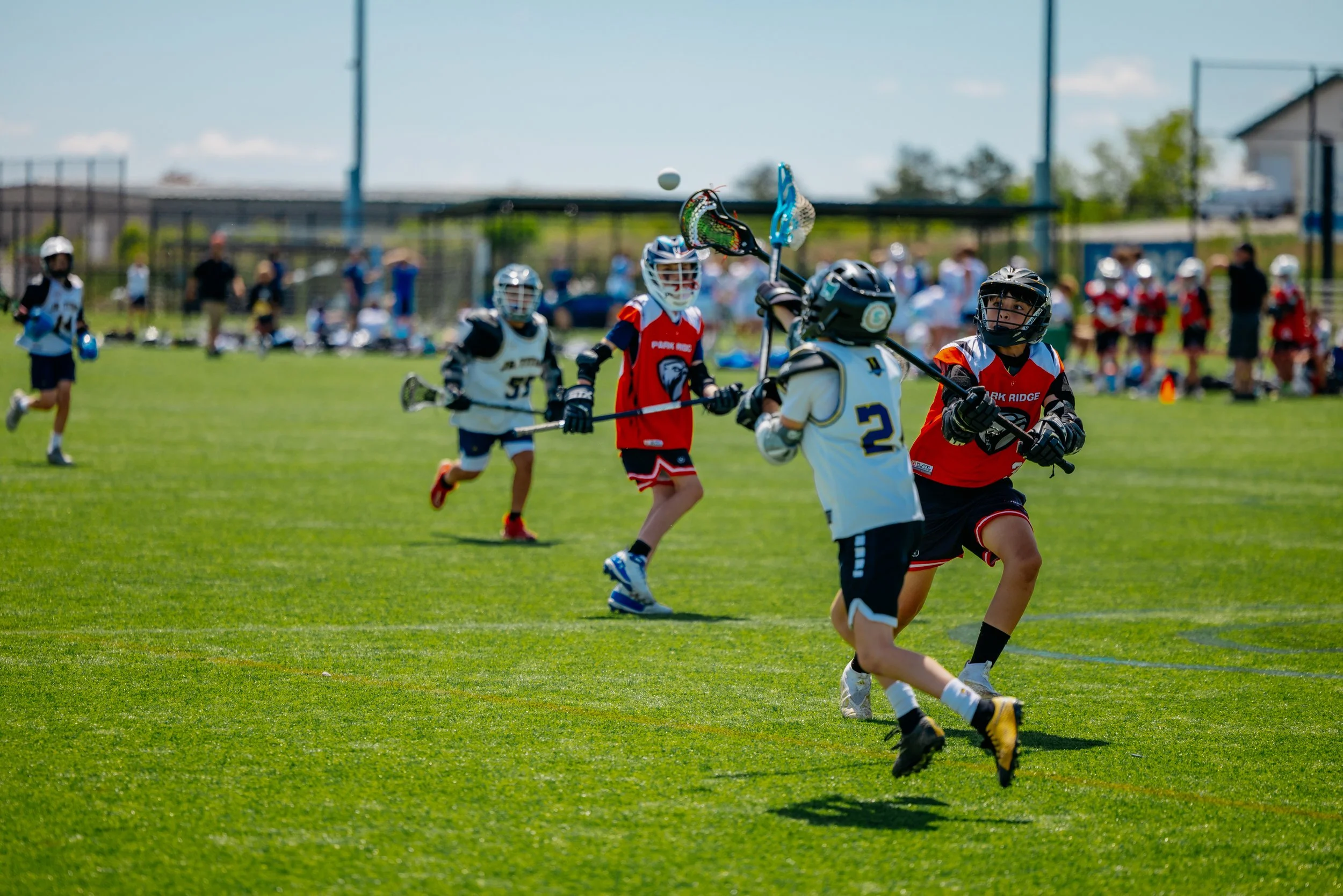 Lacrosse - 2024 - Ground.jpg