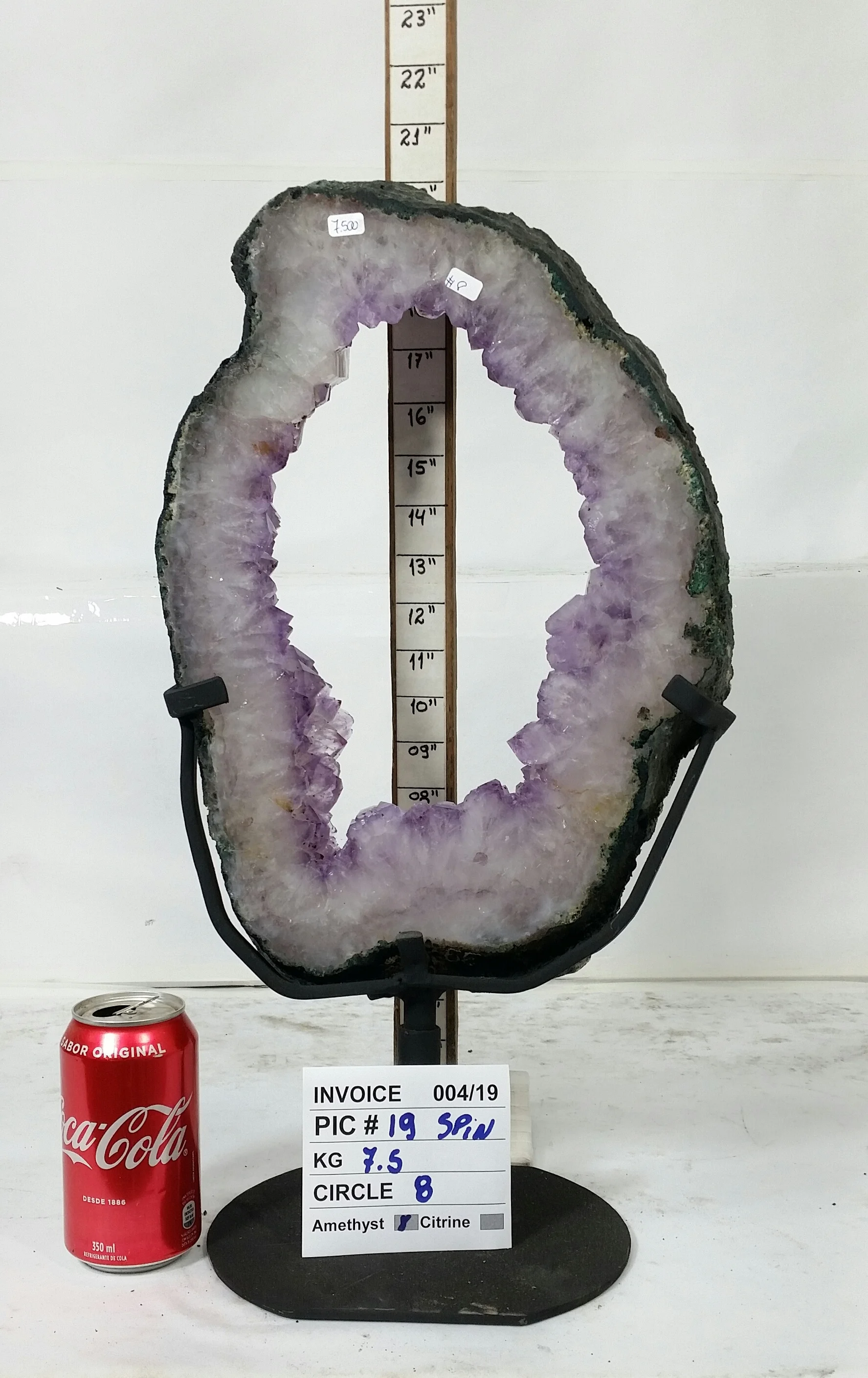 Pic 19.jpg