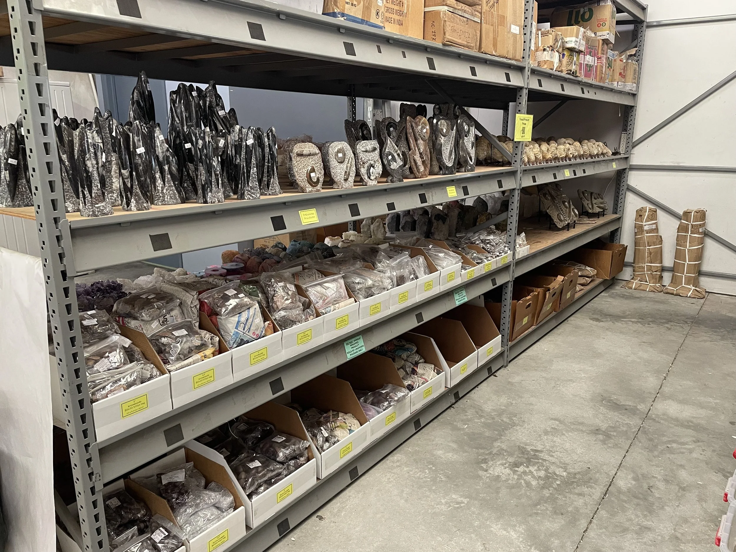 Fossil Aisle.jpg
