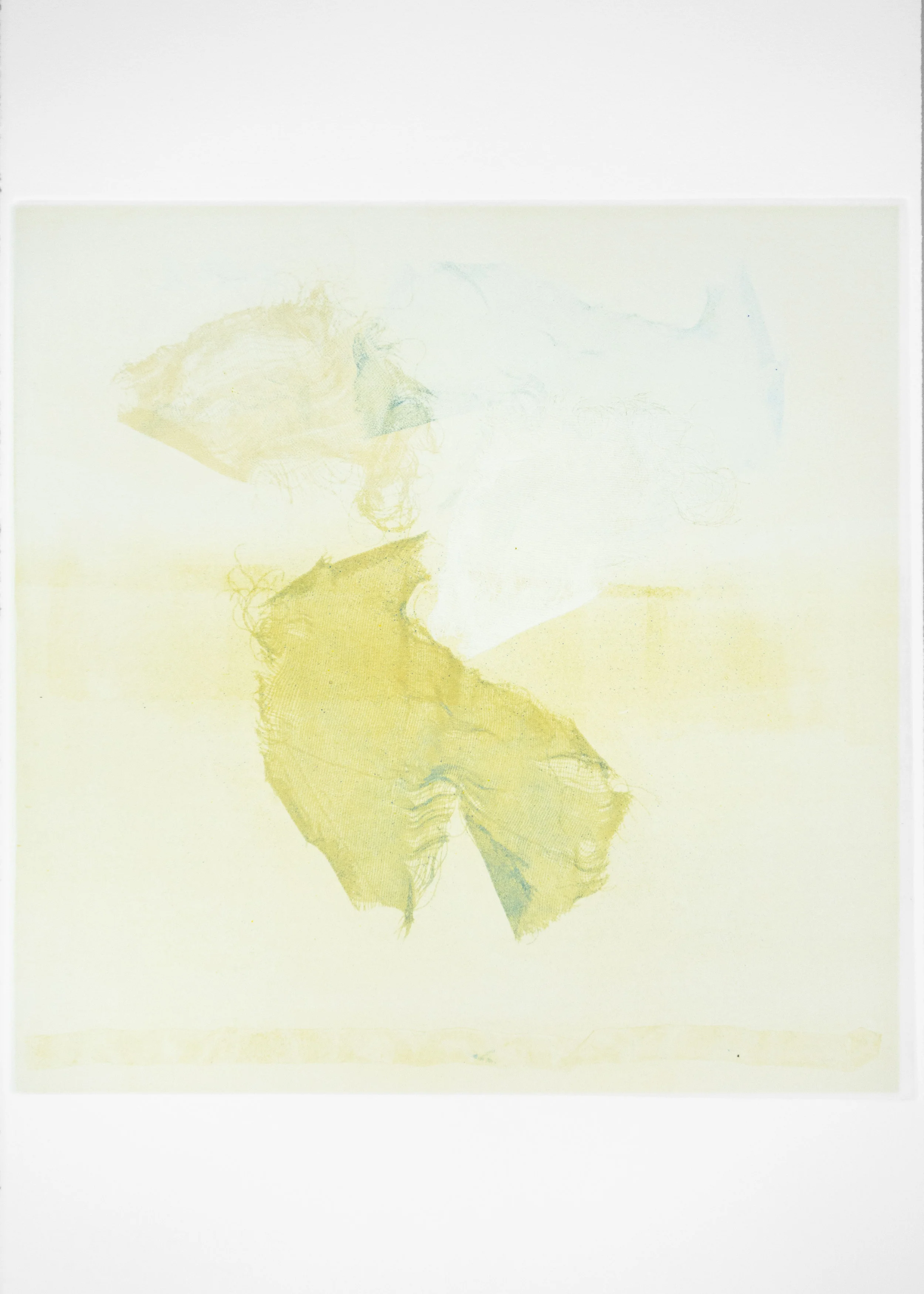 Diaphanous 30, monoprint, 14 1/2" x 14 1/2" bleed