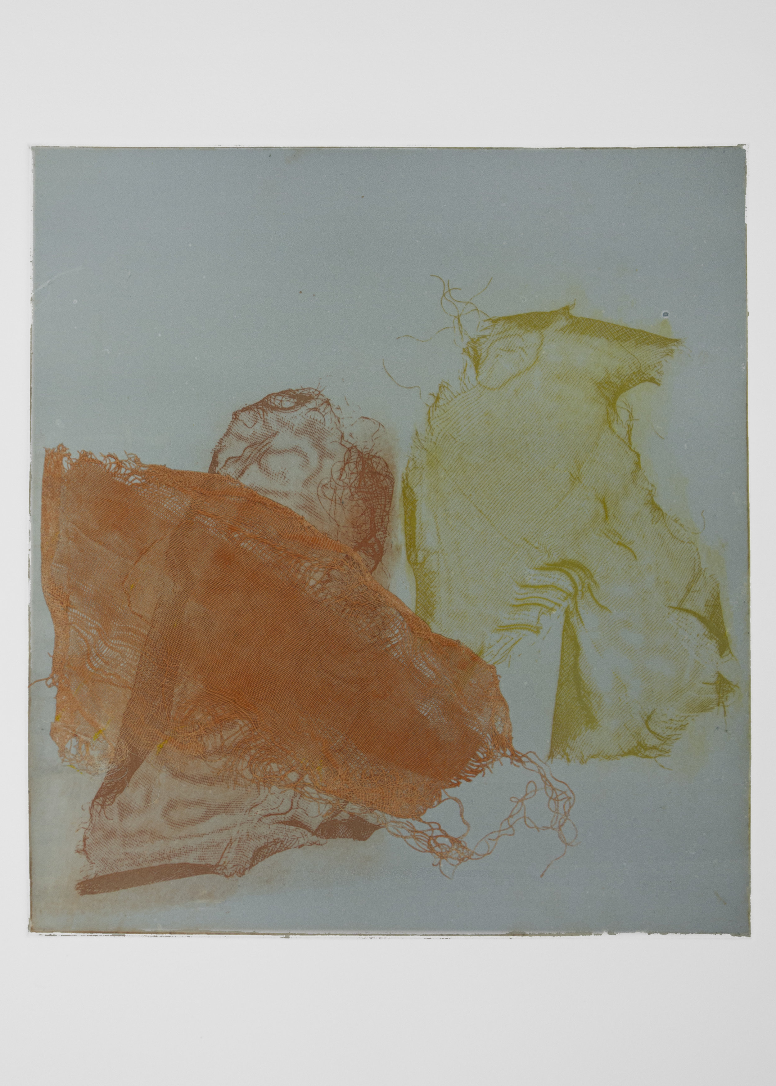 Diaphanous 1