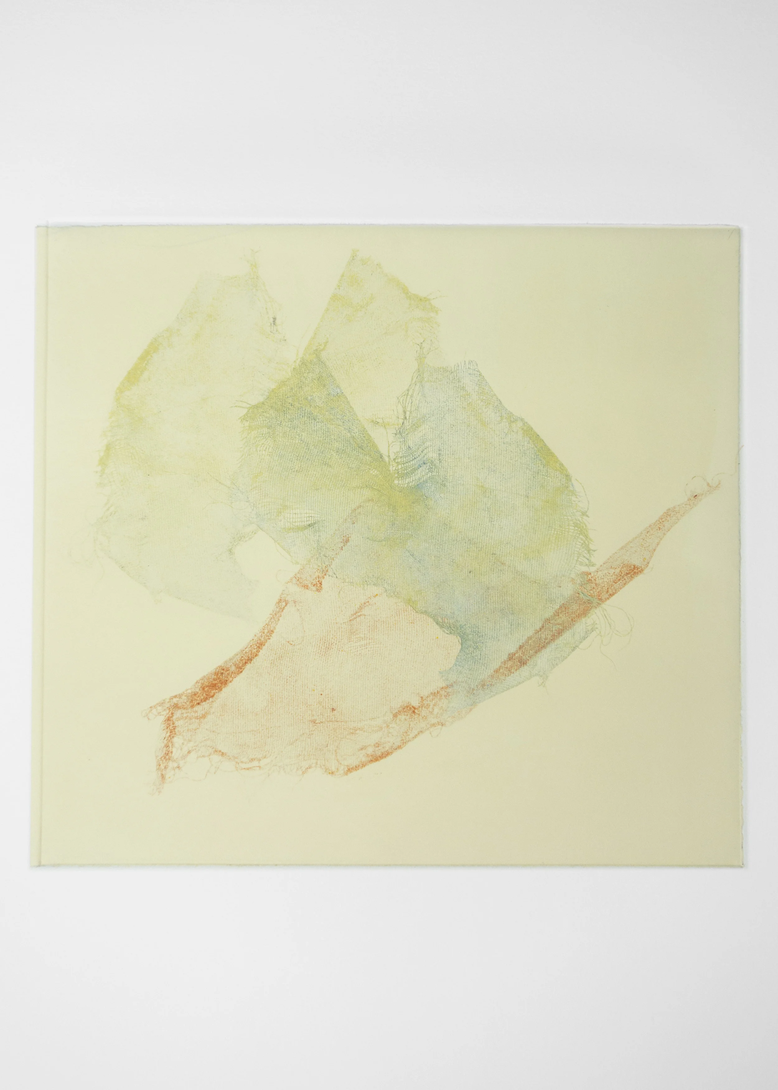 Diaphanous 12