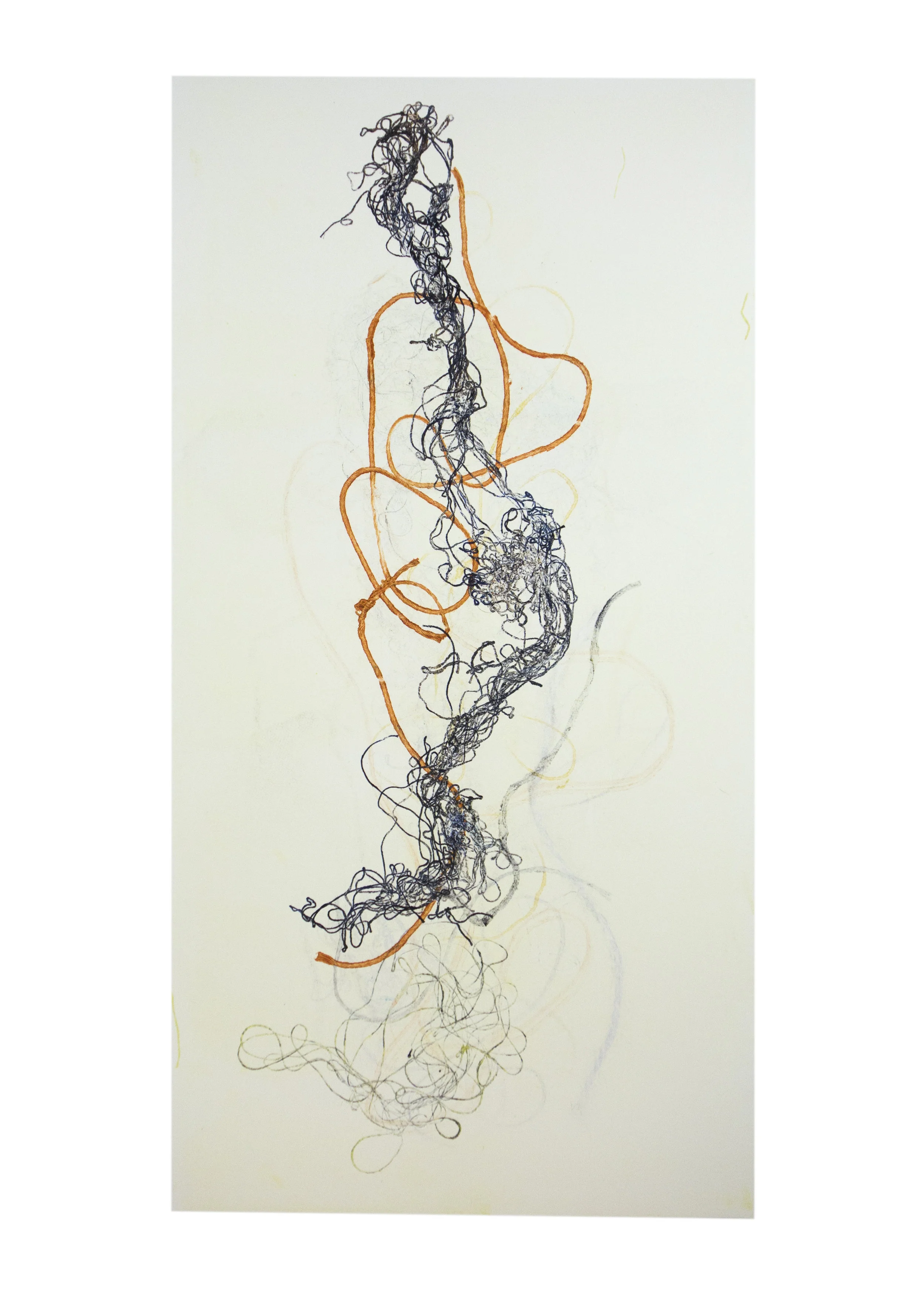 Scroll 6, collagraph, image: 19" x 9-3/4"