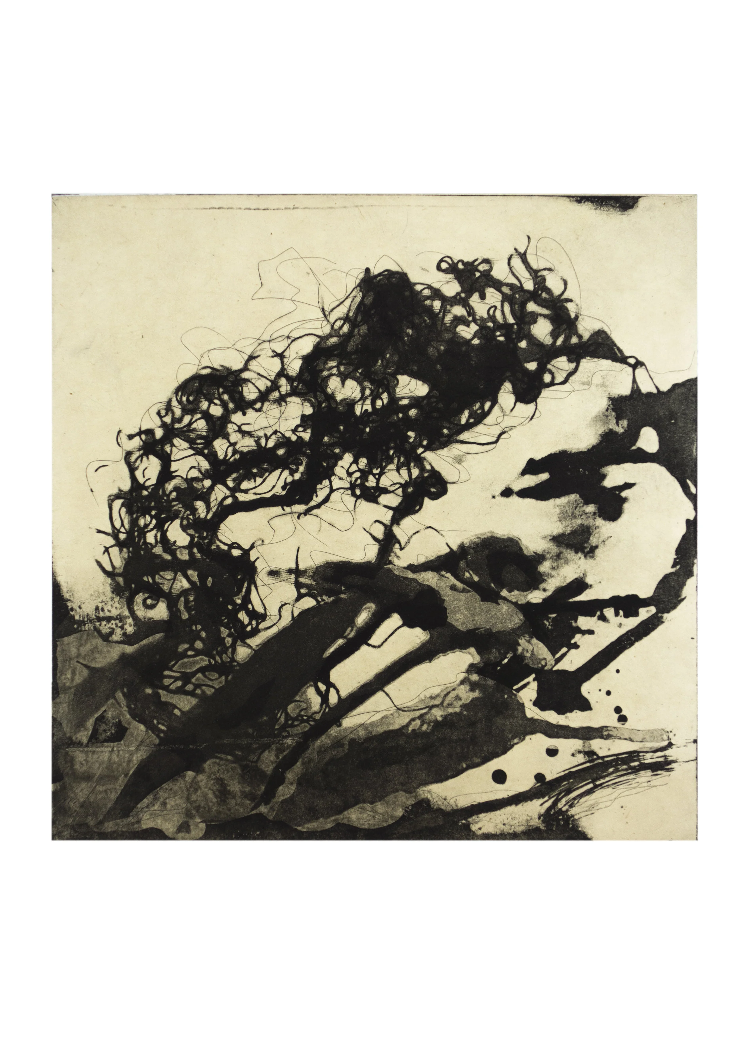 Beach Forest 3, copper plate etching, image: 11-1/2" x 9-1/2"