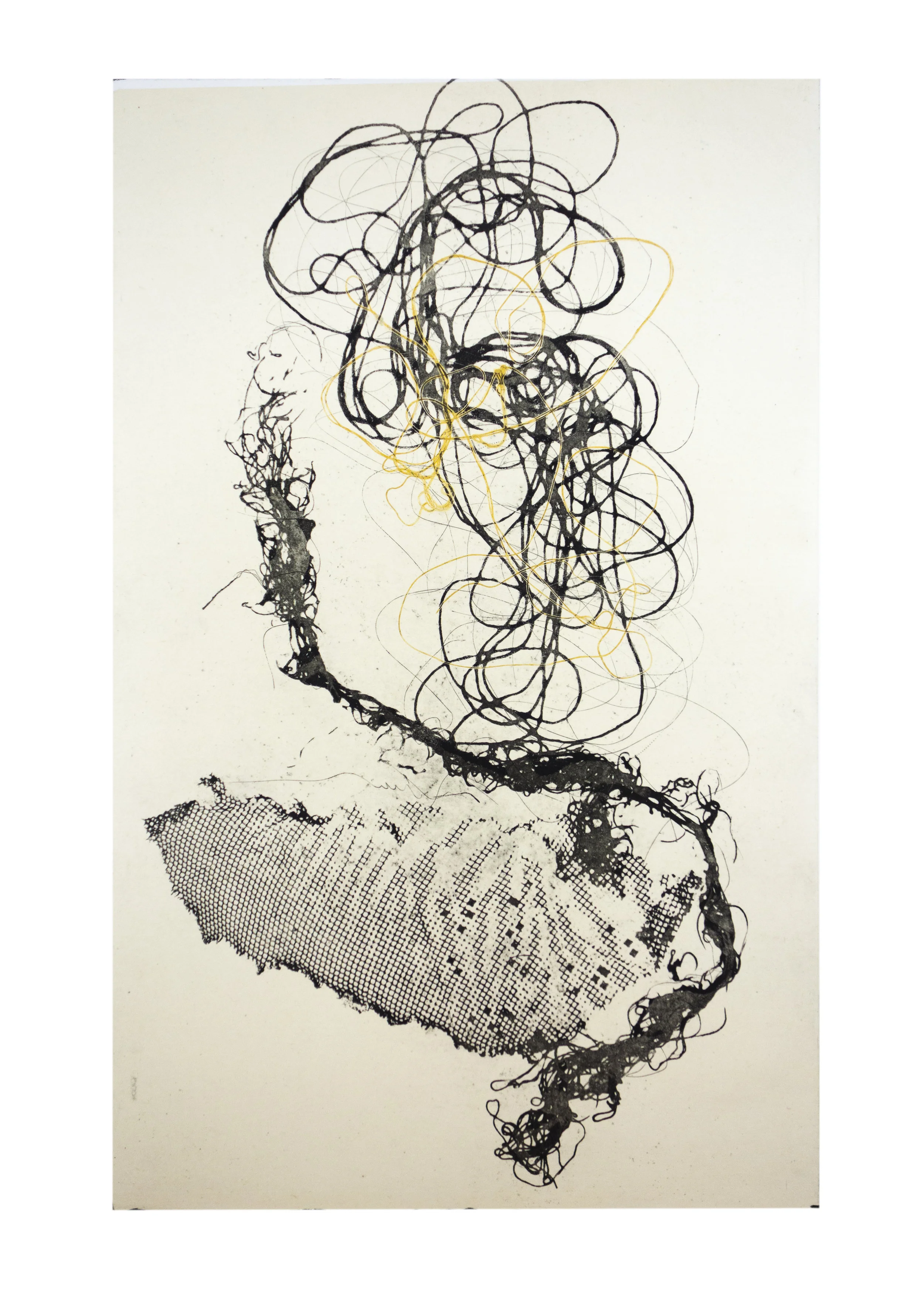 Sea Creature 4, copper plate etching, image: 16" x 10"