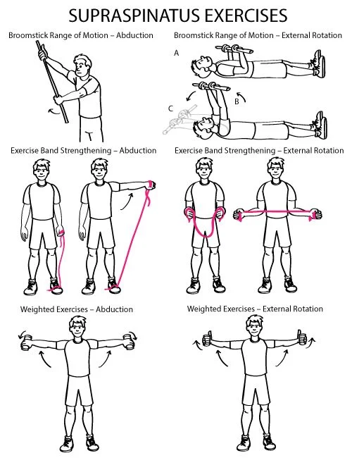 exercisesNO.jpg
