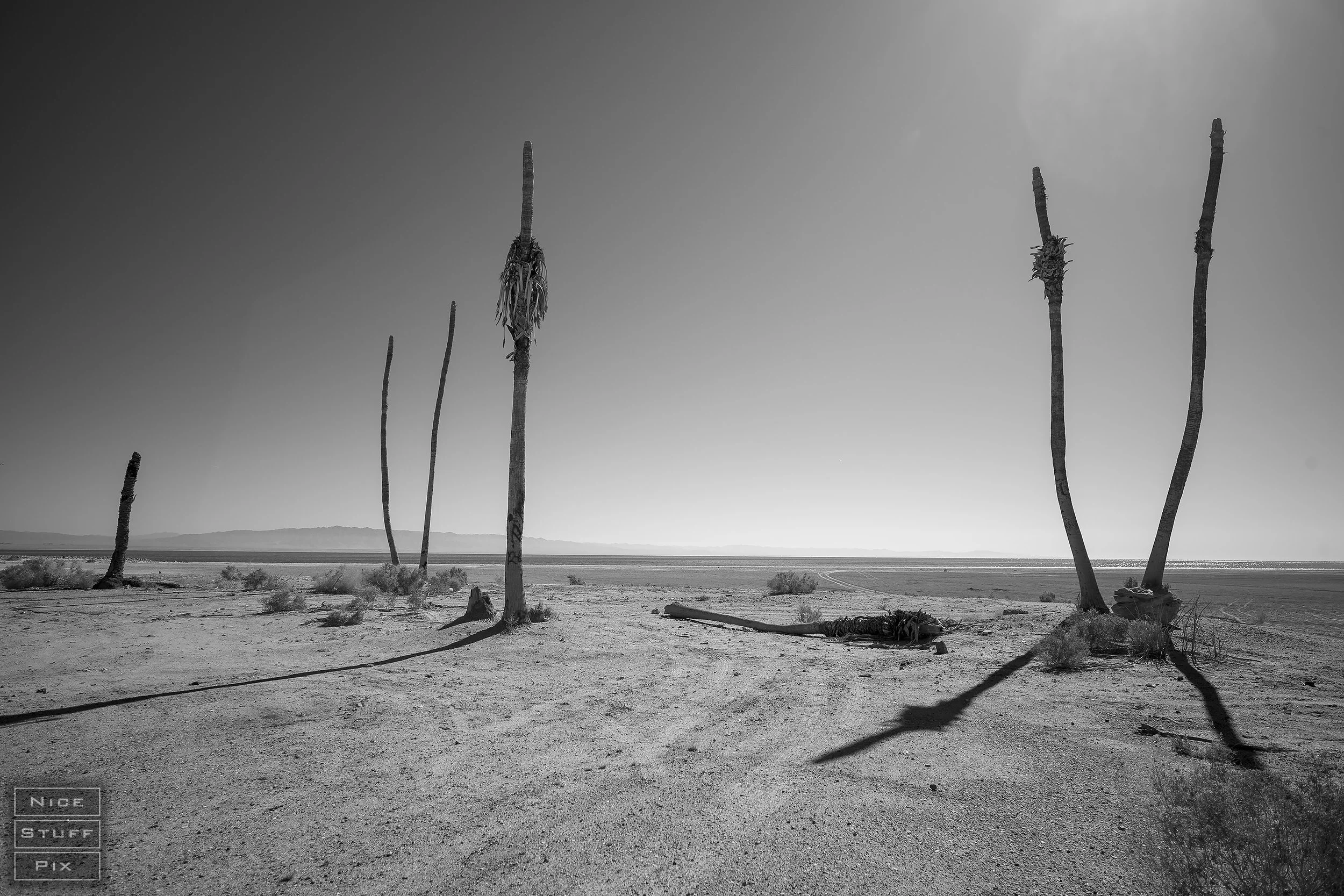 Sea View Estates, Salton Sea California 2023