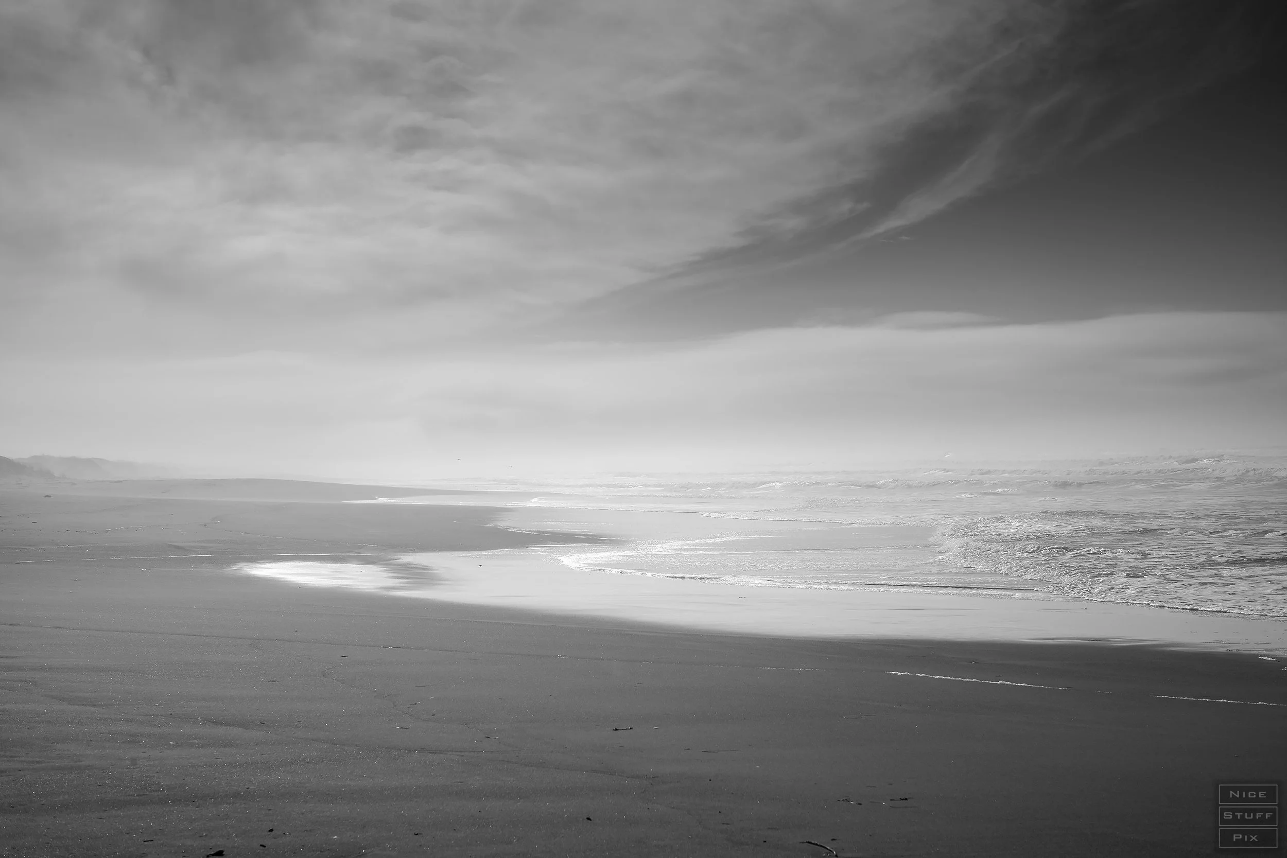 Morro Dunes State Nature Reserve, California 2024