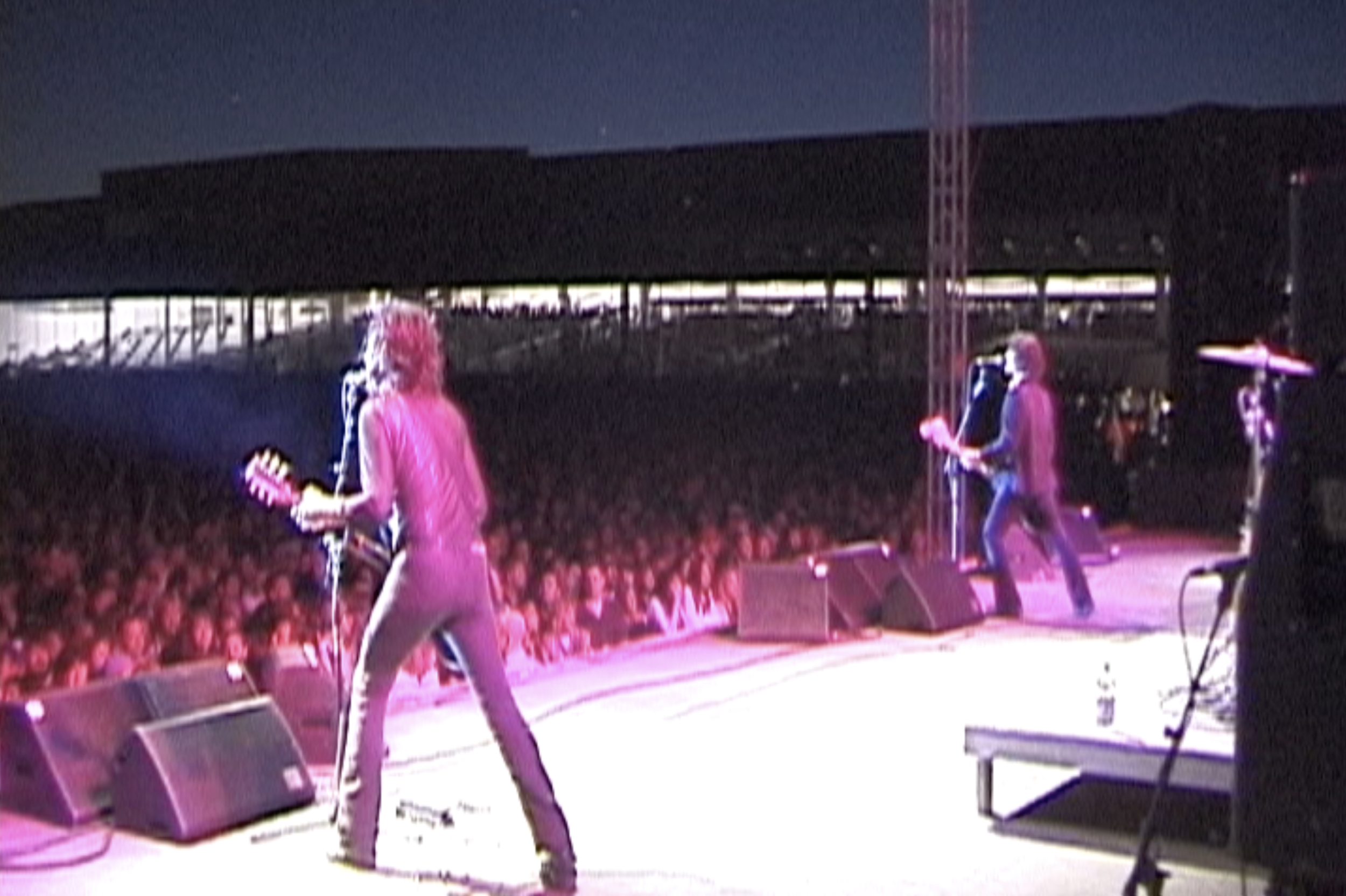 wld_lep dogtrack still.png