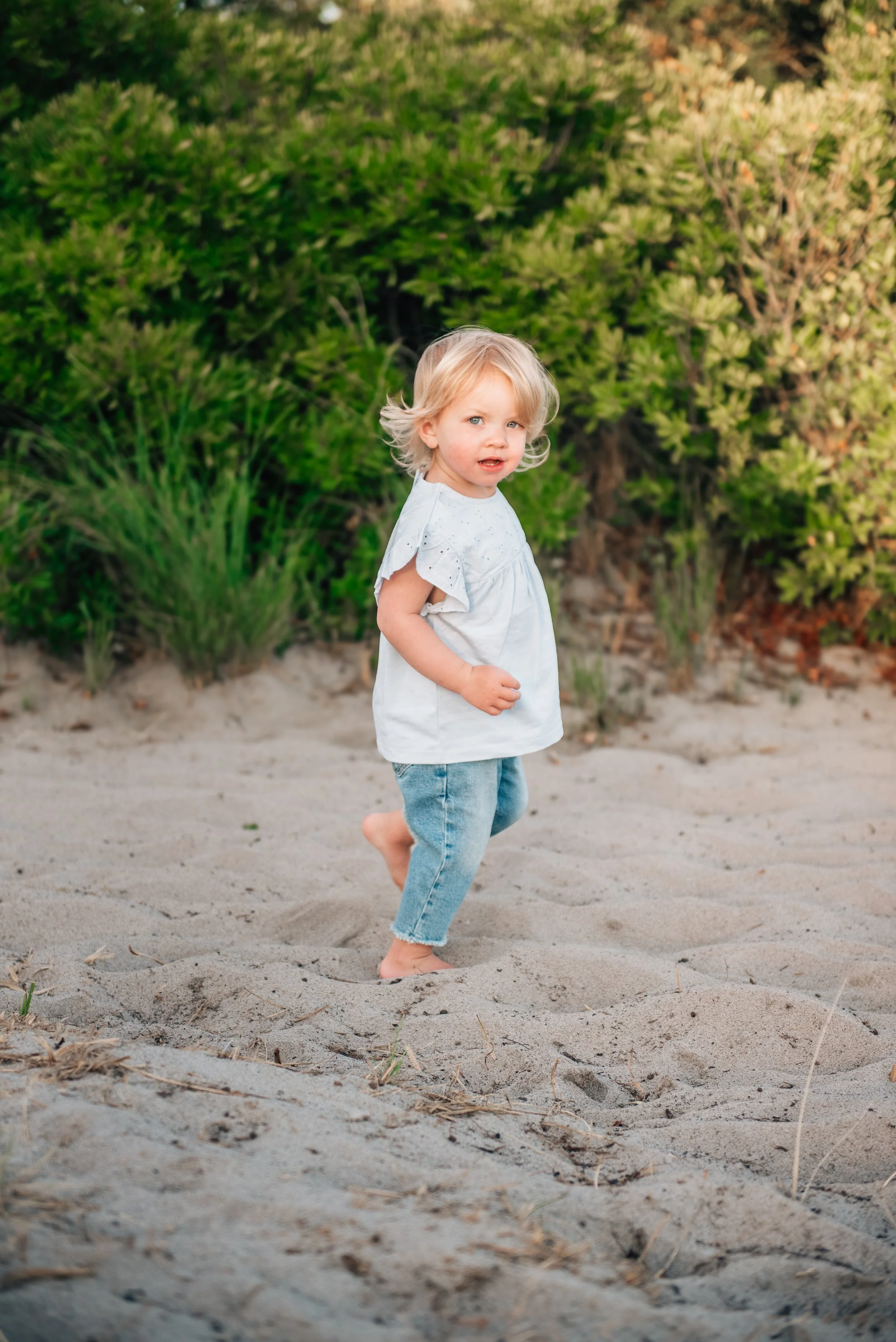 SCphotog - Braren 2025-11.jpg