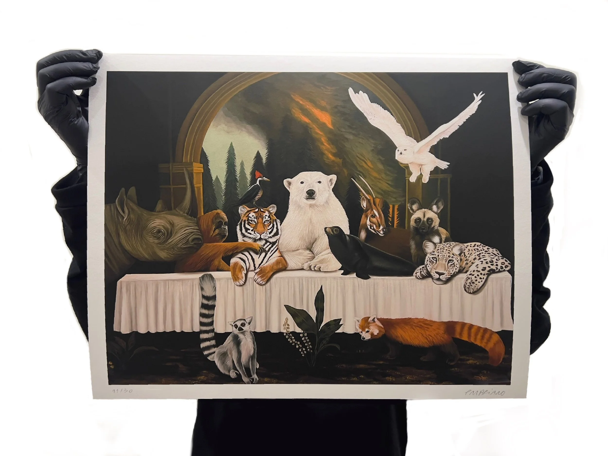 Ilustração_Sem_Título 7 - cópia.jpg