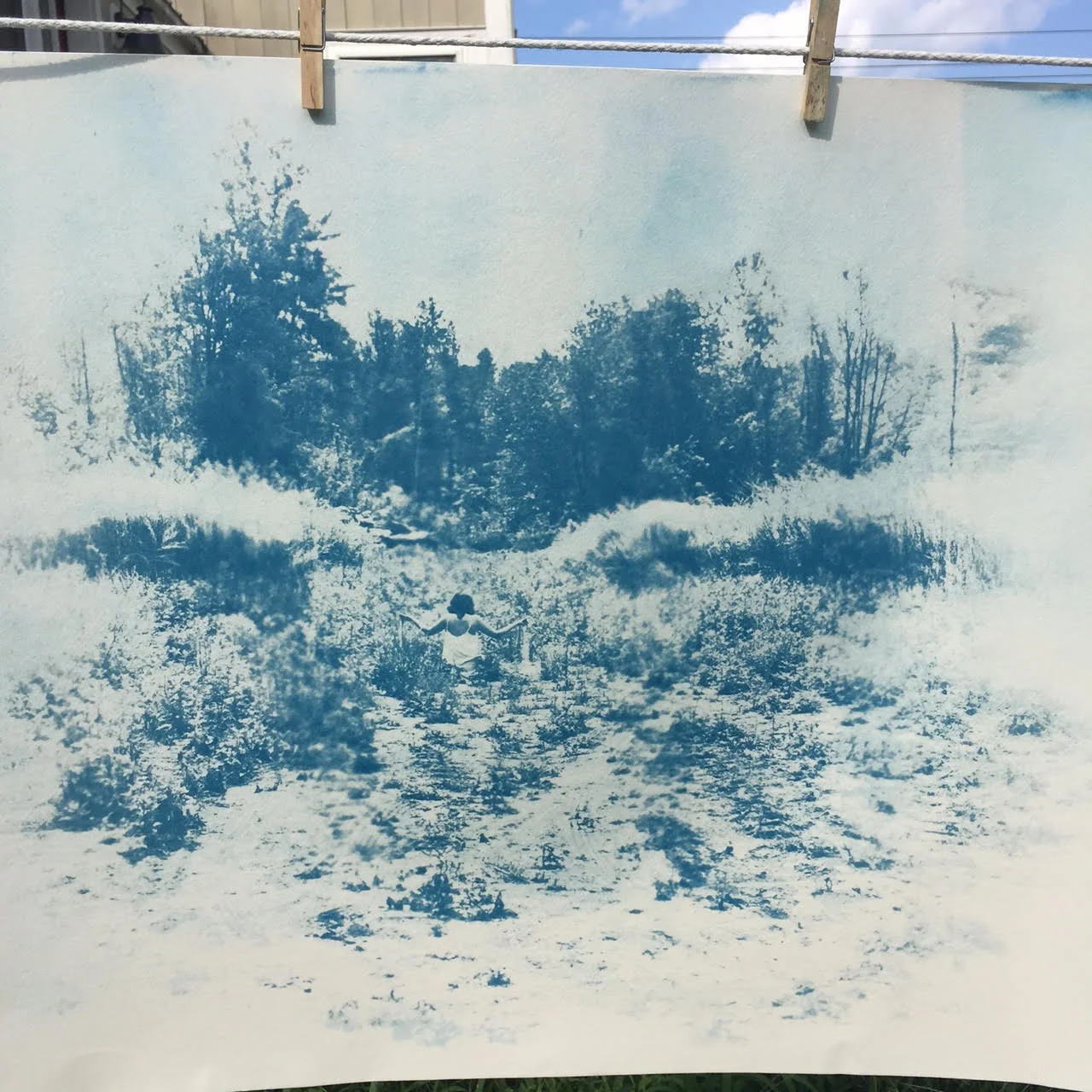 Dana-Schmerzler-studio-image-cyanotype-single.jpg