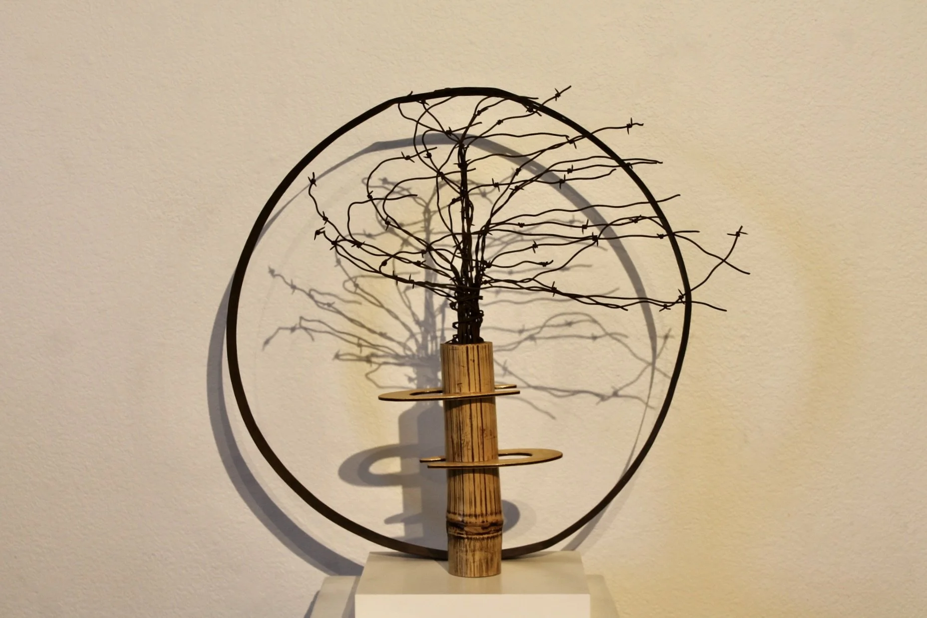 Bamboo and Barbed Wire.JPG