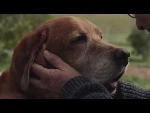 Subaru Crosstrek - Old Friends ( .30 Spot)