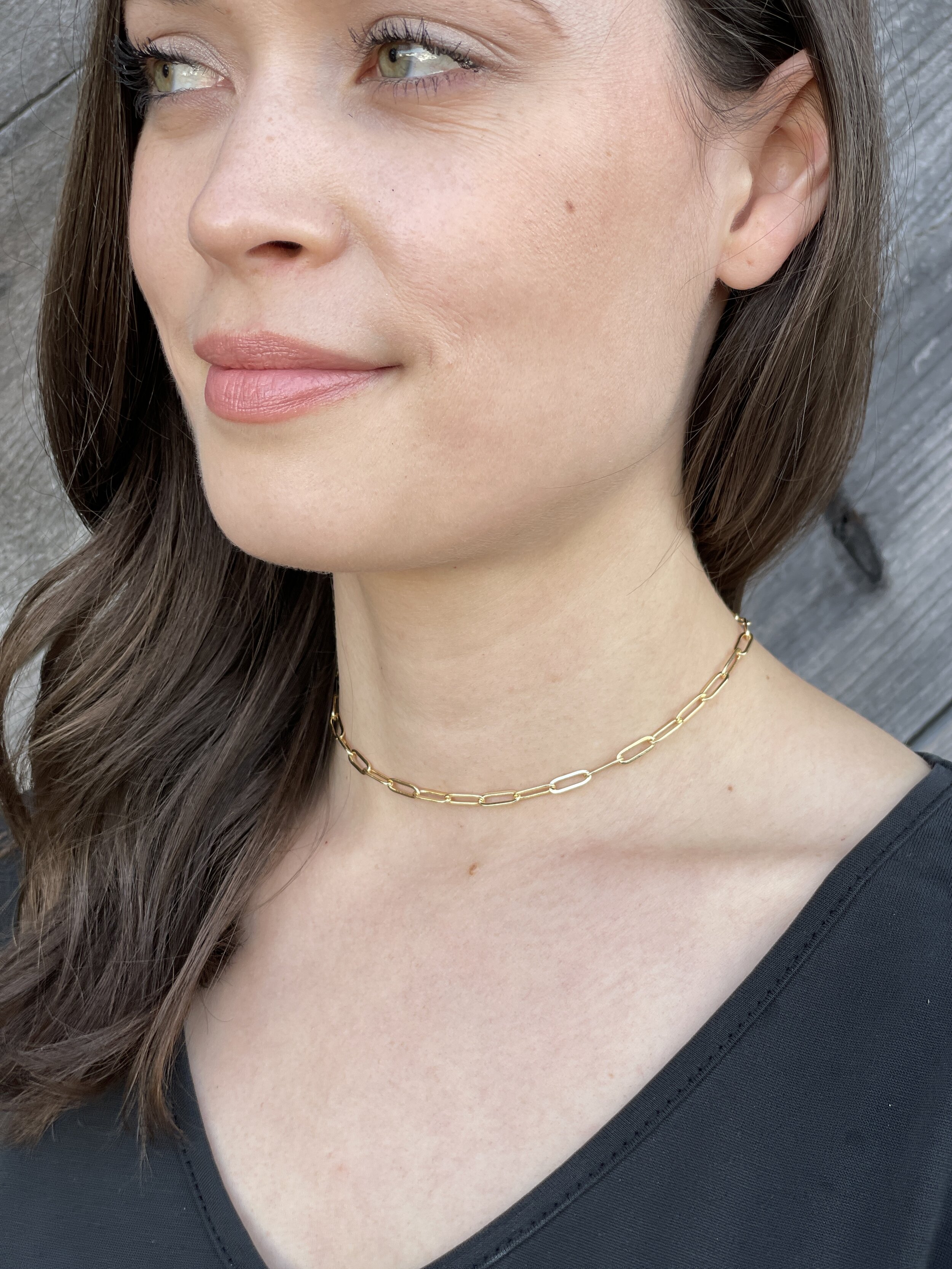 Convertible Paper Clip Necklace 