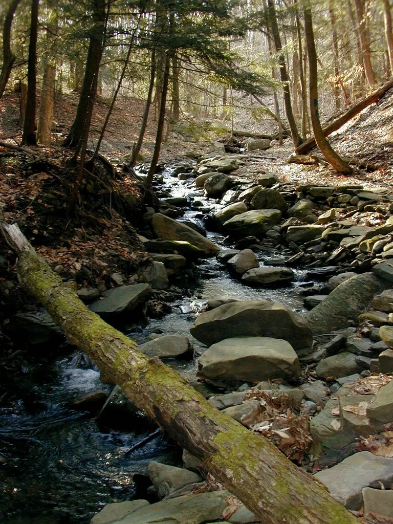 gorgetrailstream2.jpg