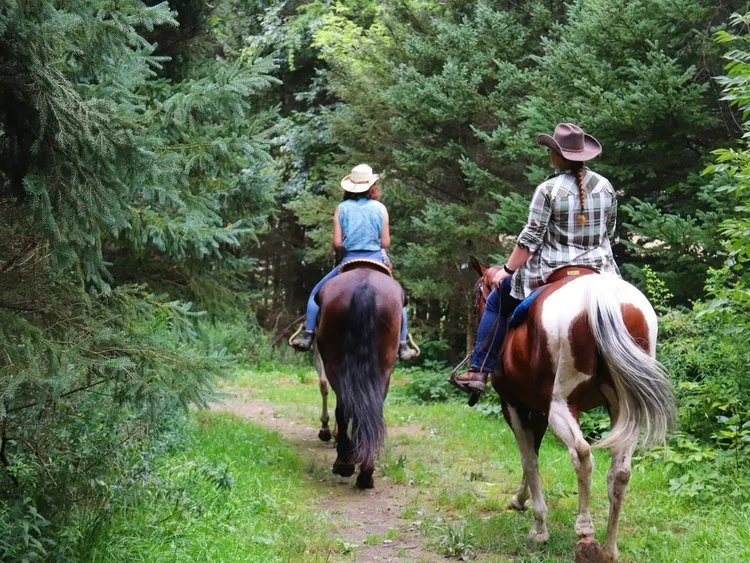 D&amp;K Ranch
