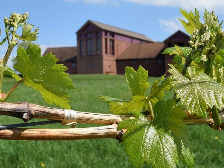 Lamoreaux Landing Wine Cellars