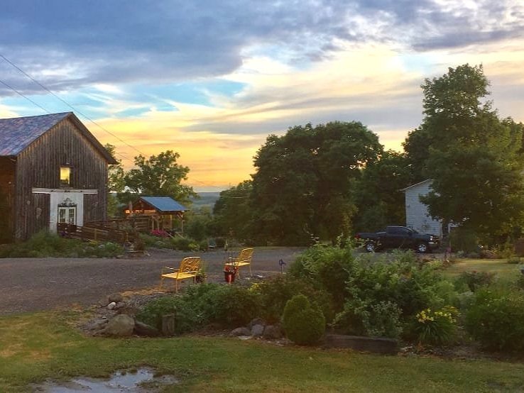 Rasta Ranch Vineyards