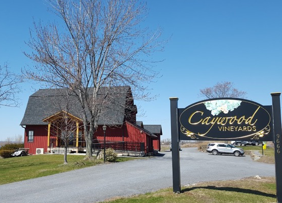 Caywood Vineyards
