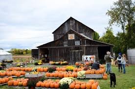 The Pumpkin Stand