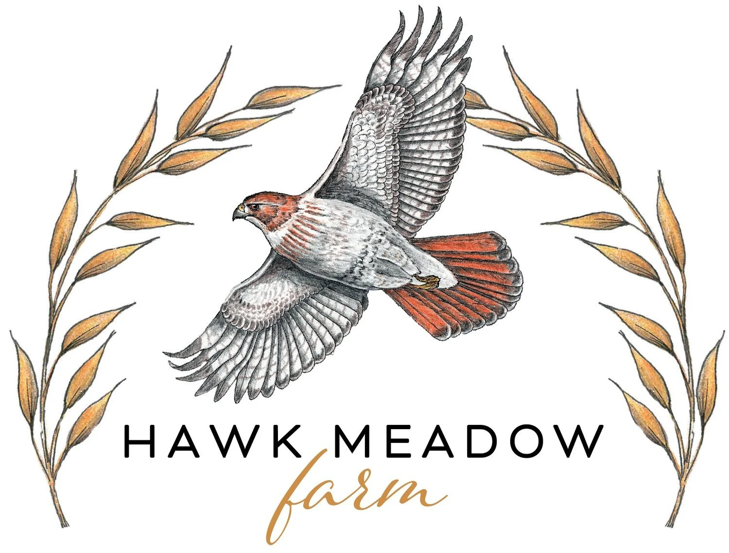 Hawk Meadow Farm