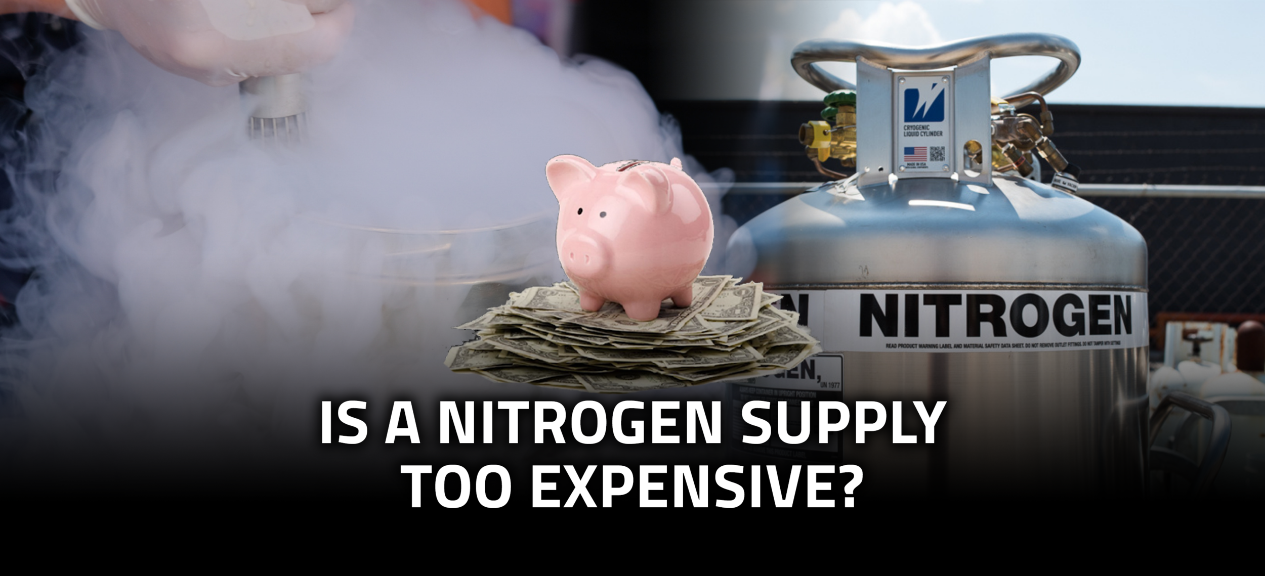 IS A NITROGEN SUPPLY TOO EXPENSIVE?