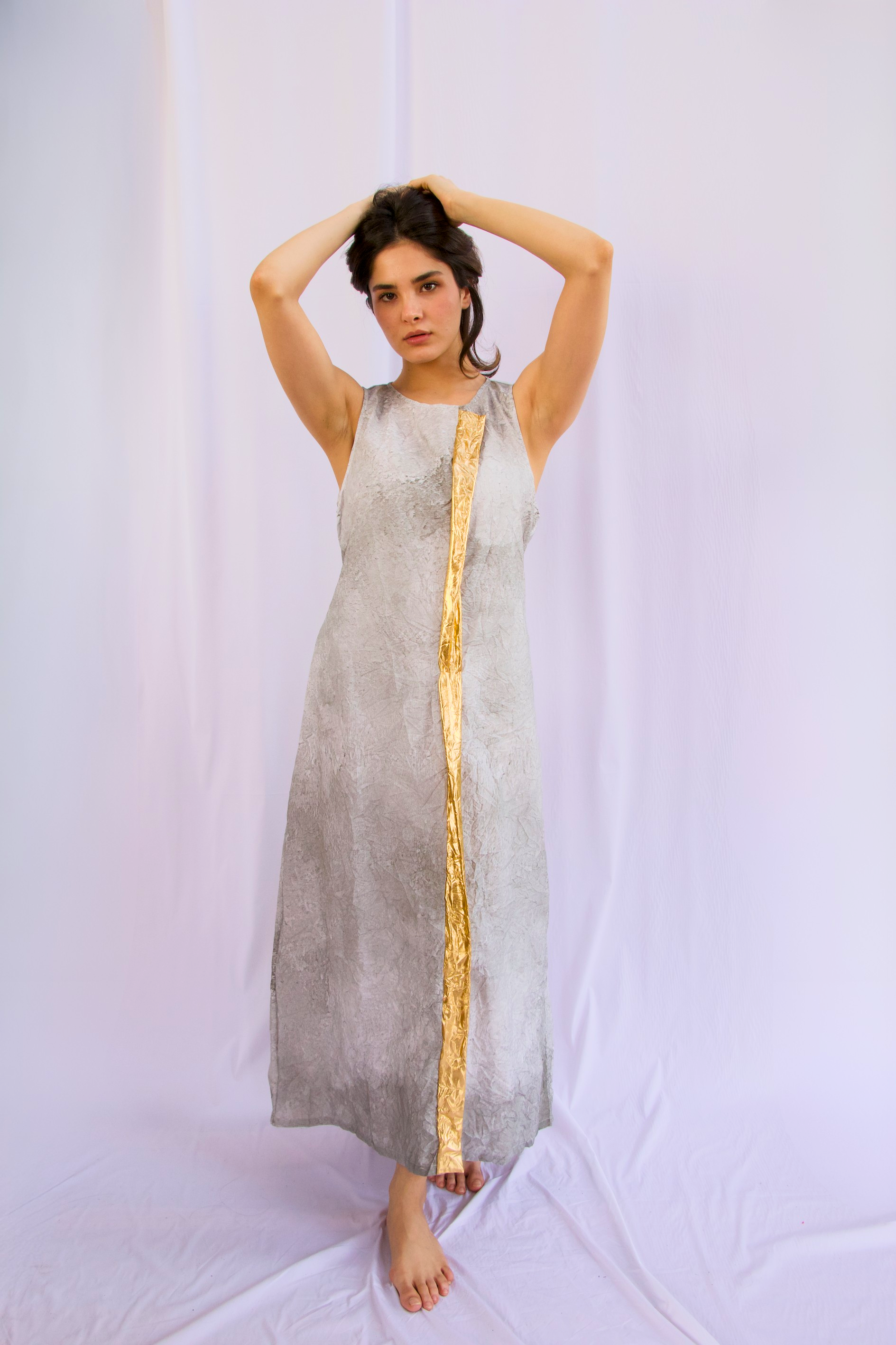 Gray and Gold Dress 12.png